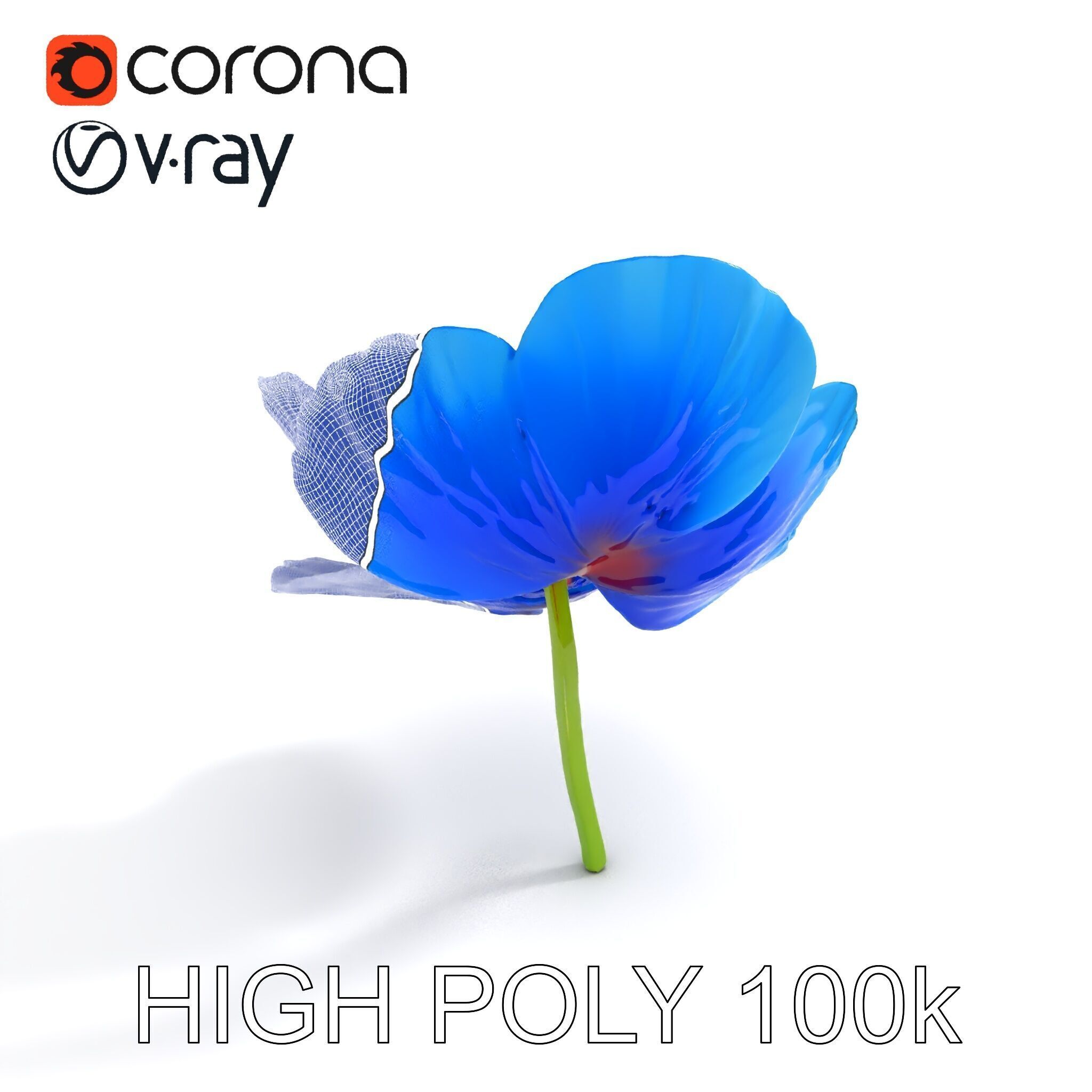 Blue Poppy Flower Model Pack for Realistic Scenes Low-poly 3D model_17
