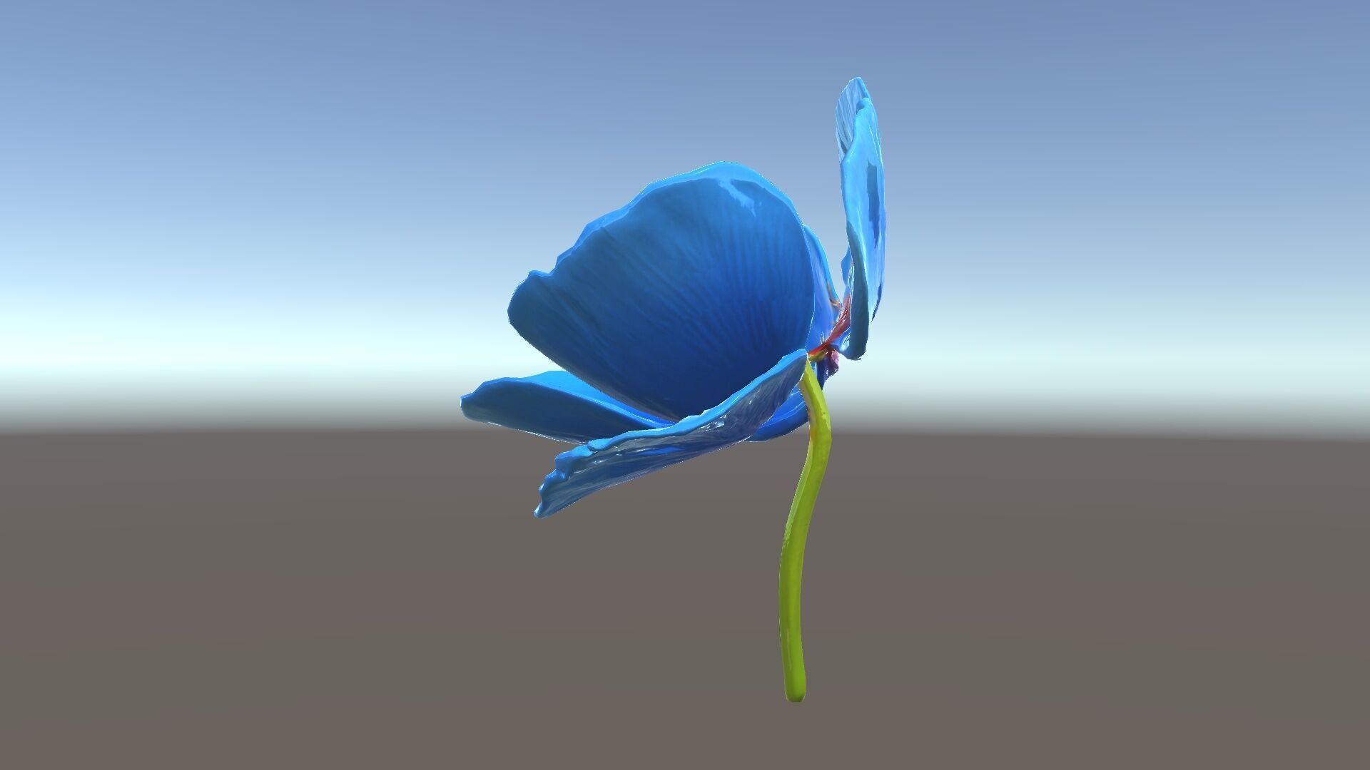 Blue Poppy Flower Model Pack for Realistic Scenes Low-poly 3D model_12