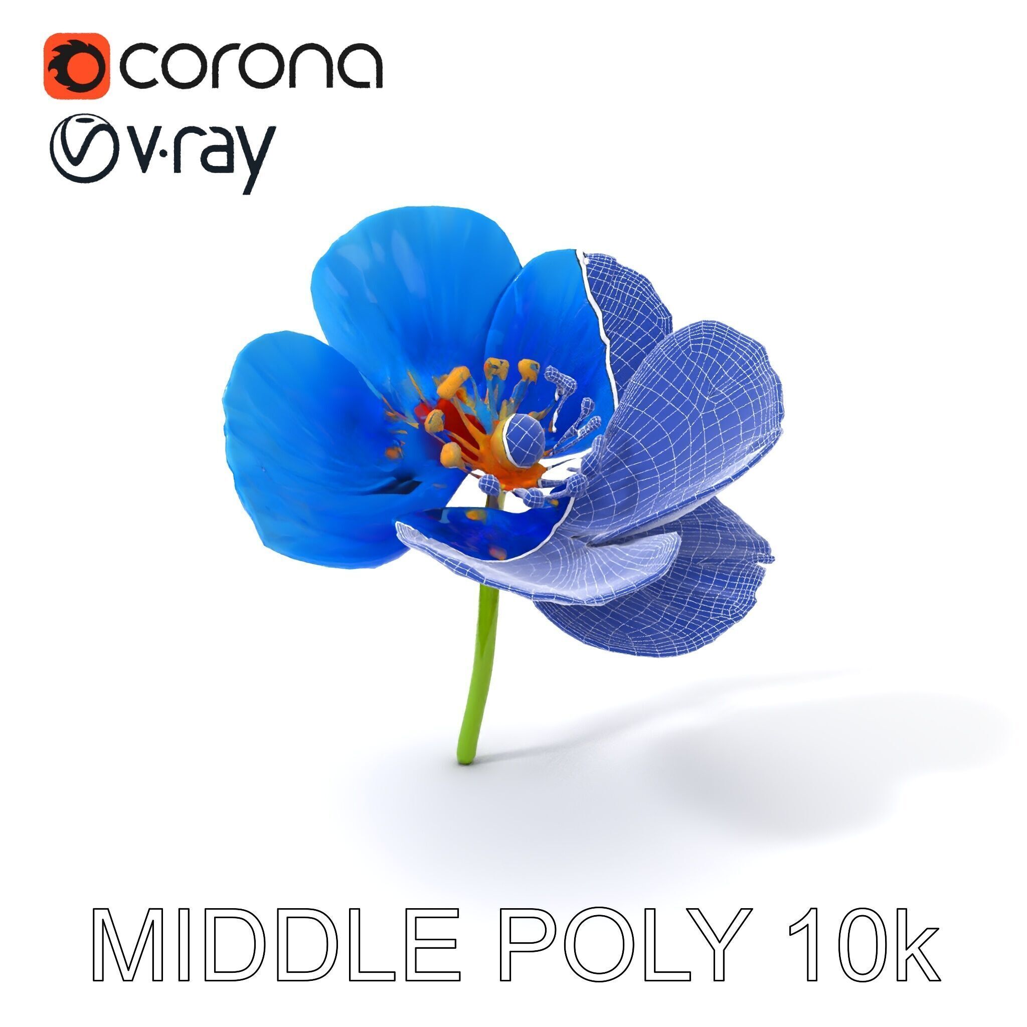 Blue Poppy Flower Model Pack for Realistic Scenes Low-poly 3D model_32