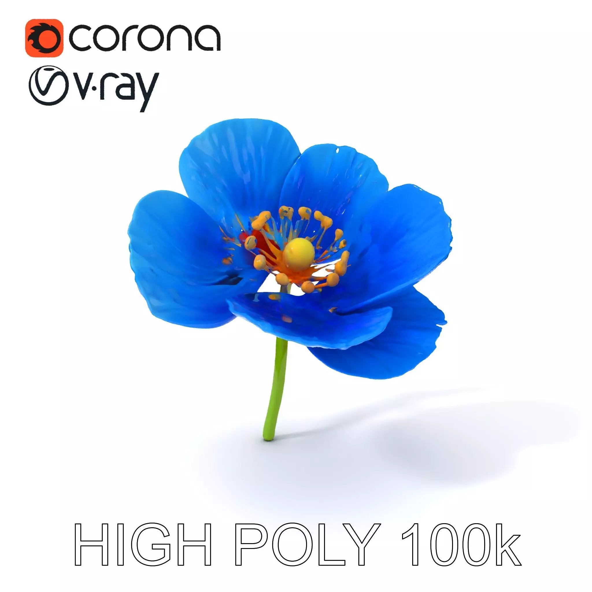 Blue Poppy Flower Model Pack for Realistic Scenes Low-poly 3D model_0