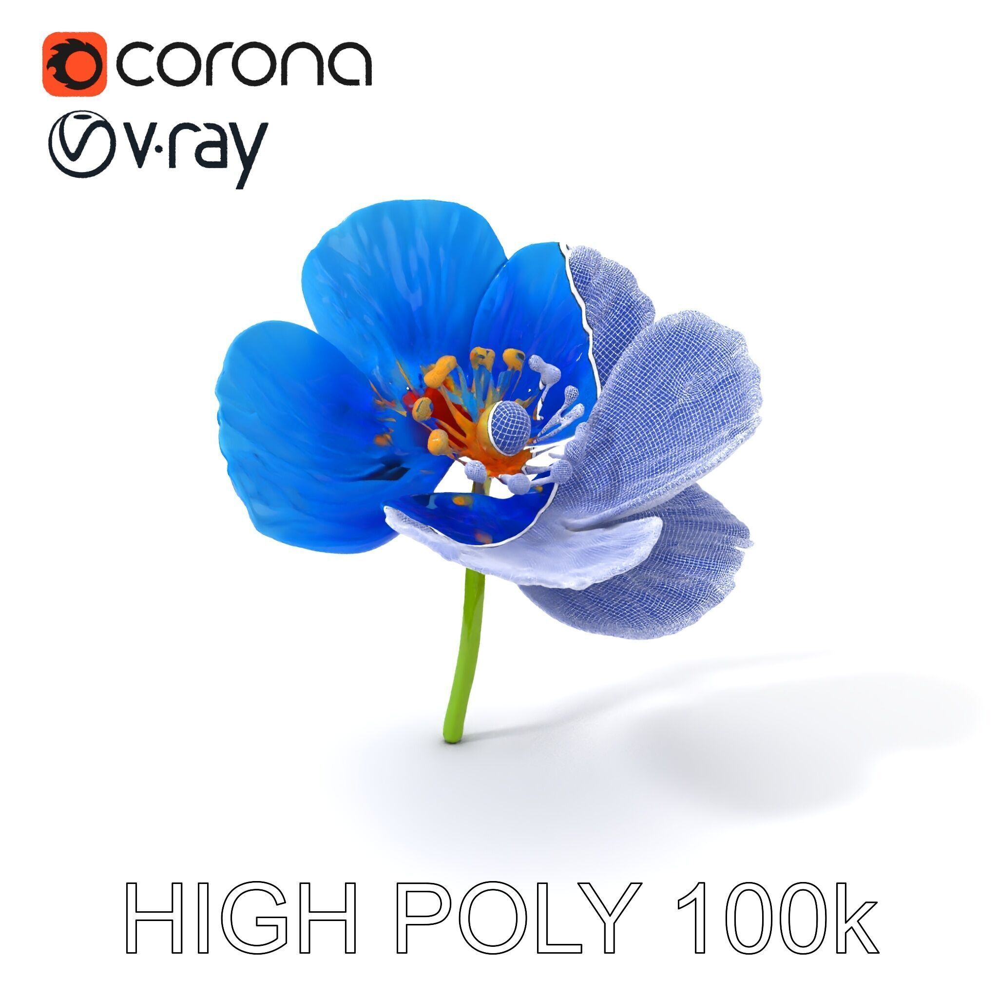 Blue Poppy Flower Model Pack for Realistic Scenes Low-poly 3D model_3