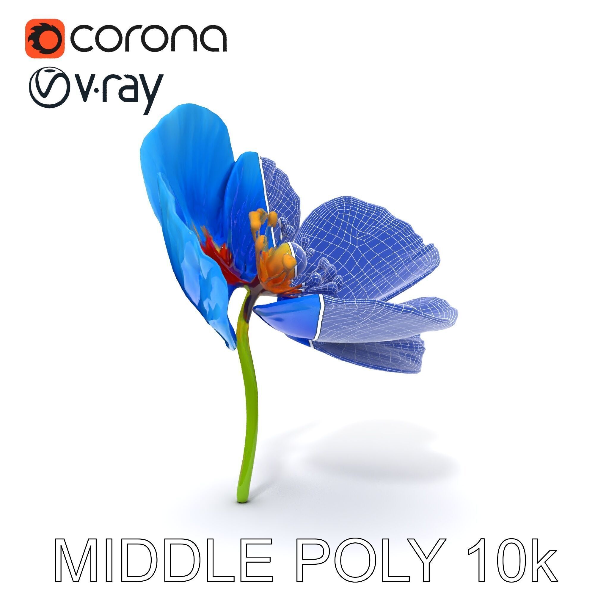 Blue Poppy Flower Model Pack for Realistic Scenes Low-poly 3D model_18