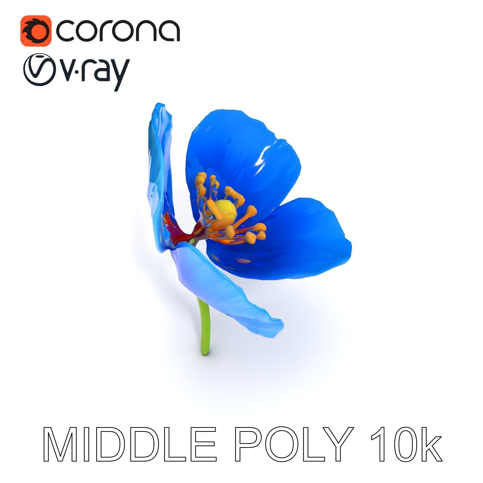 Blue Poppy Flower Model Pack for Realistic Scenes Low-poly 3D model_27