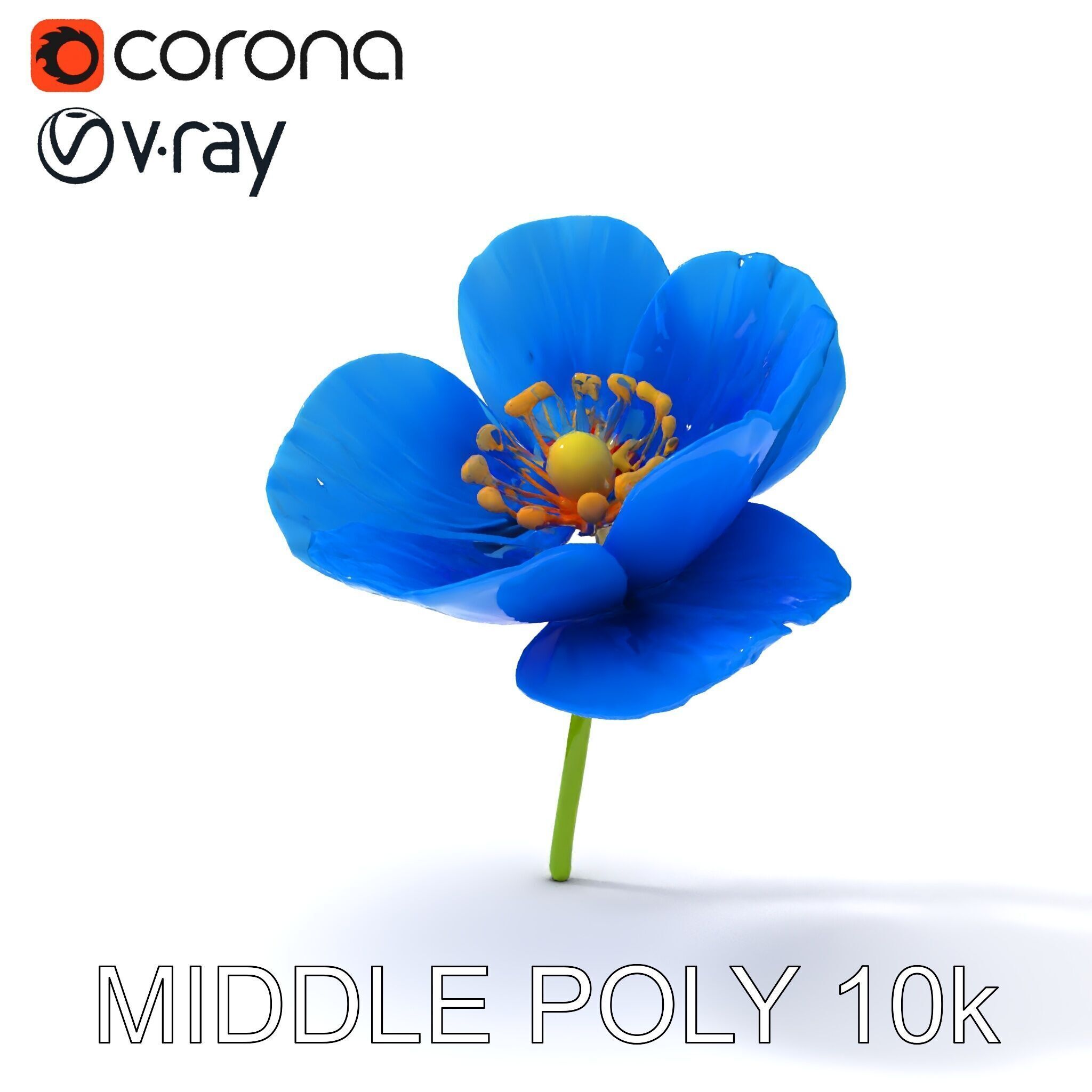 Blue Poppy Flower Model Pack for Realistic Scenes Low-poly 3D model_9