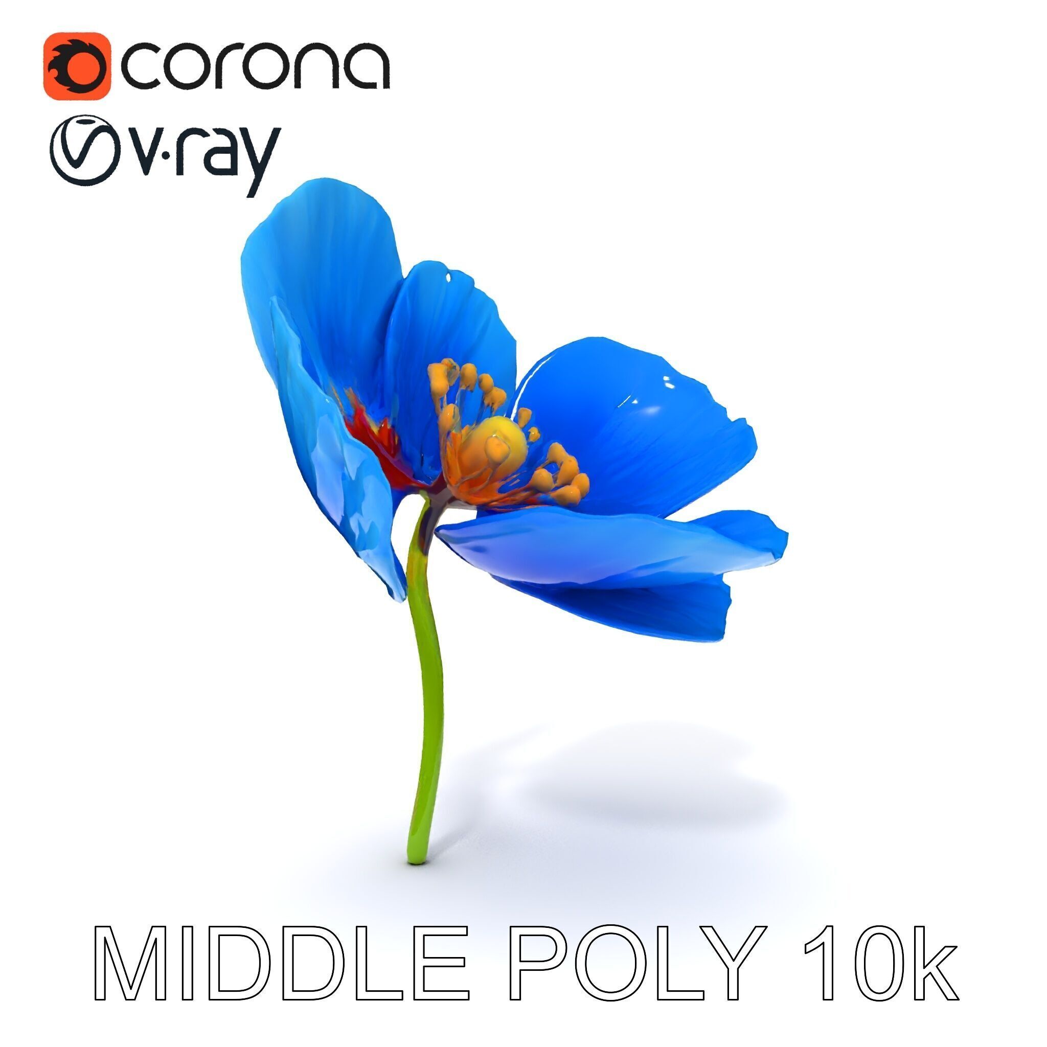 Blue Poppy Flower Model Pack for Realistic Scenes Low-poly 3D model_15
