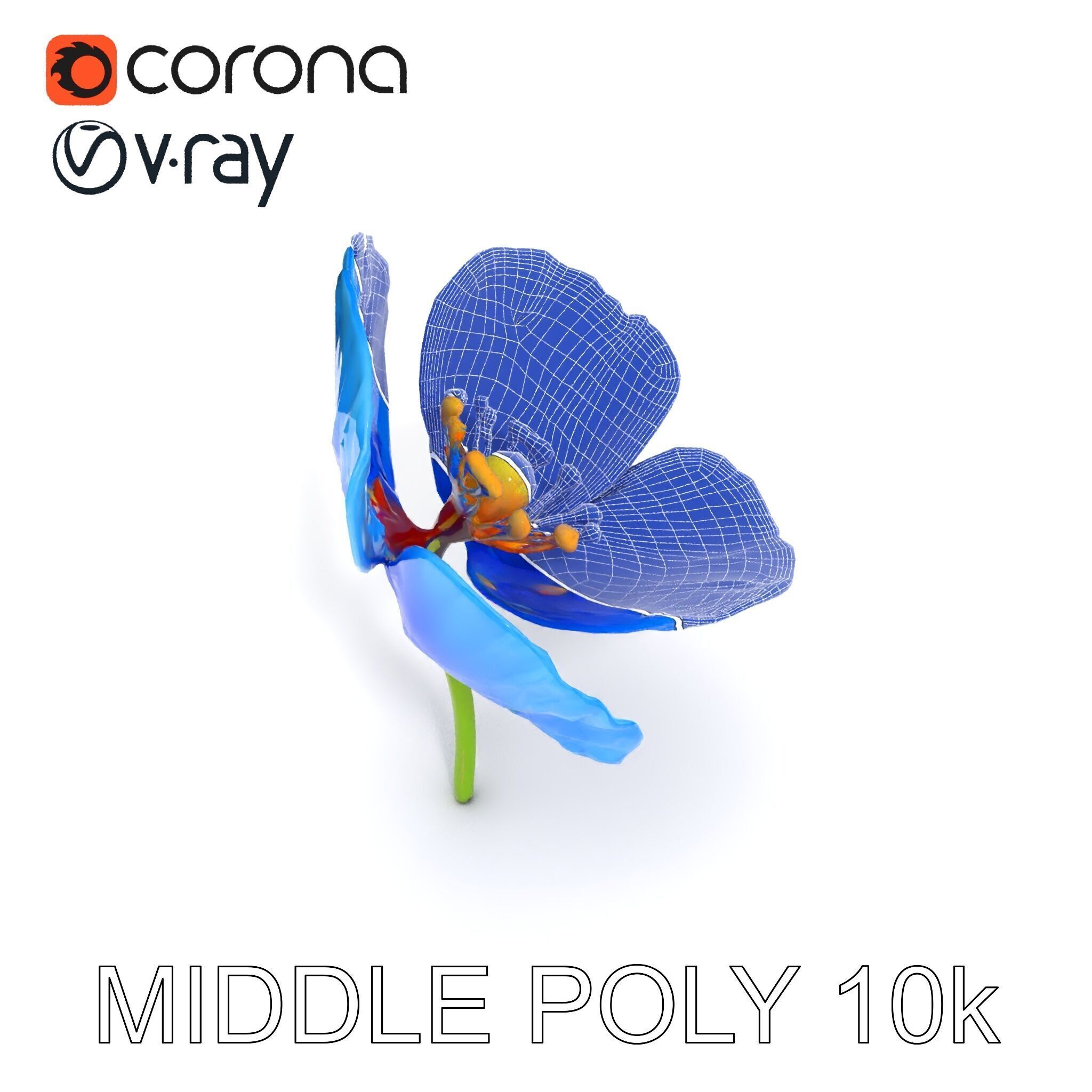 Blue Poppy Flower Model Pack for Realistic Scenes Low-poly 3D model_25