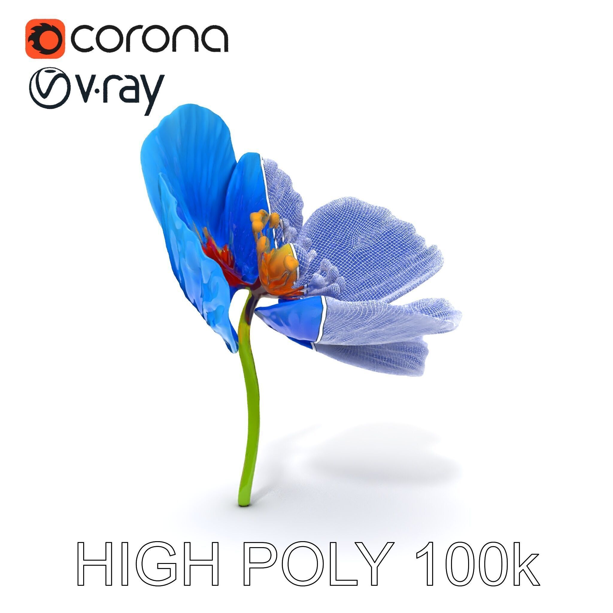 Blue Poppy Flower Model Pack for Realistic Scenes Low-poly 3D model_14