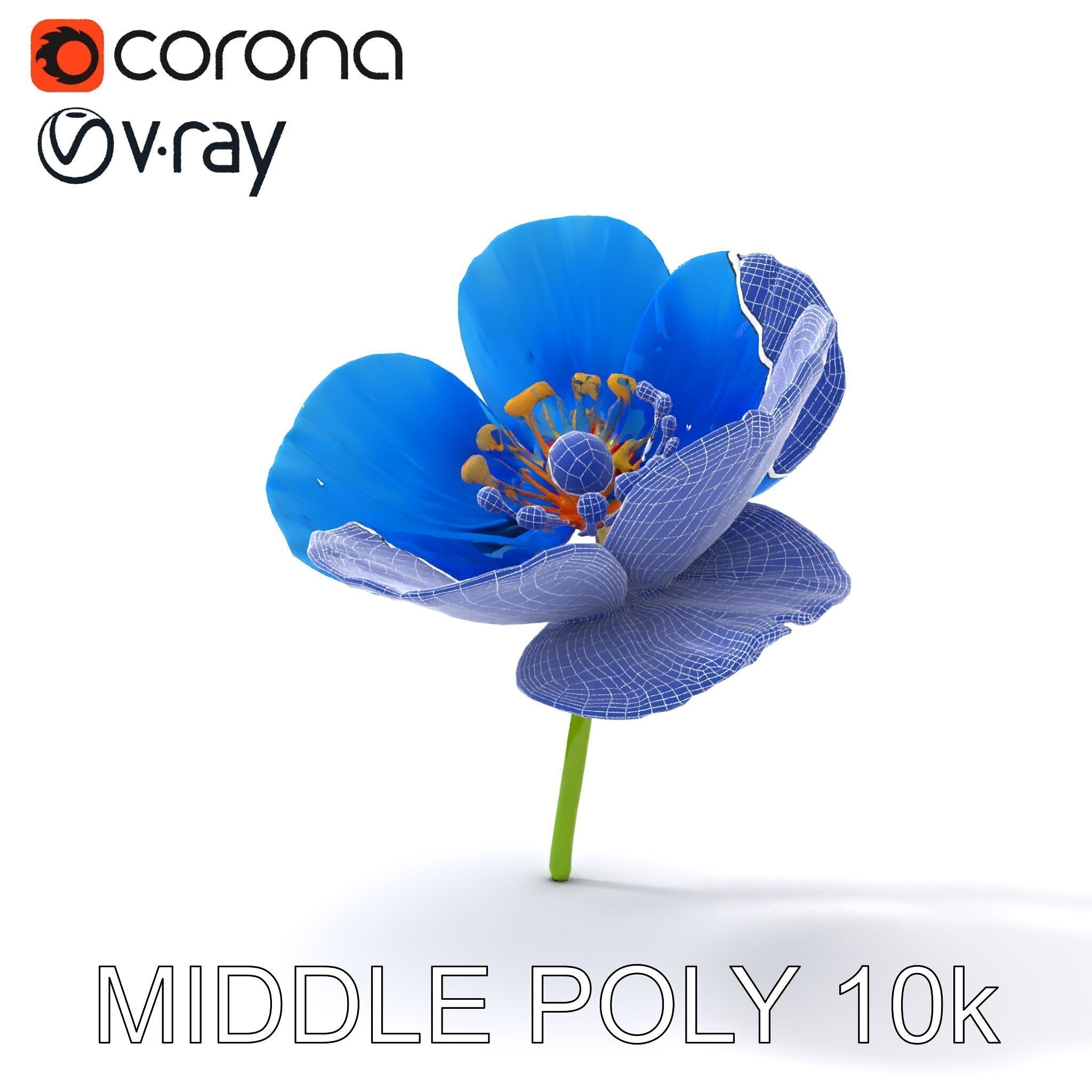 Blue Poppy Flower Model Pack for Realistic Scenes Low-poly 3D model_21