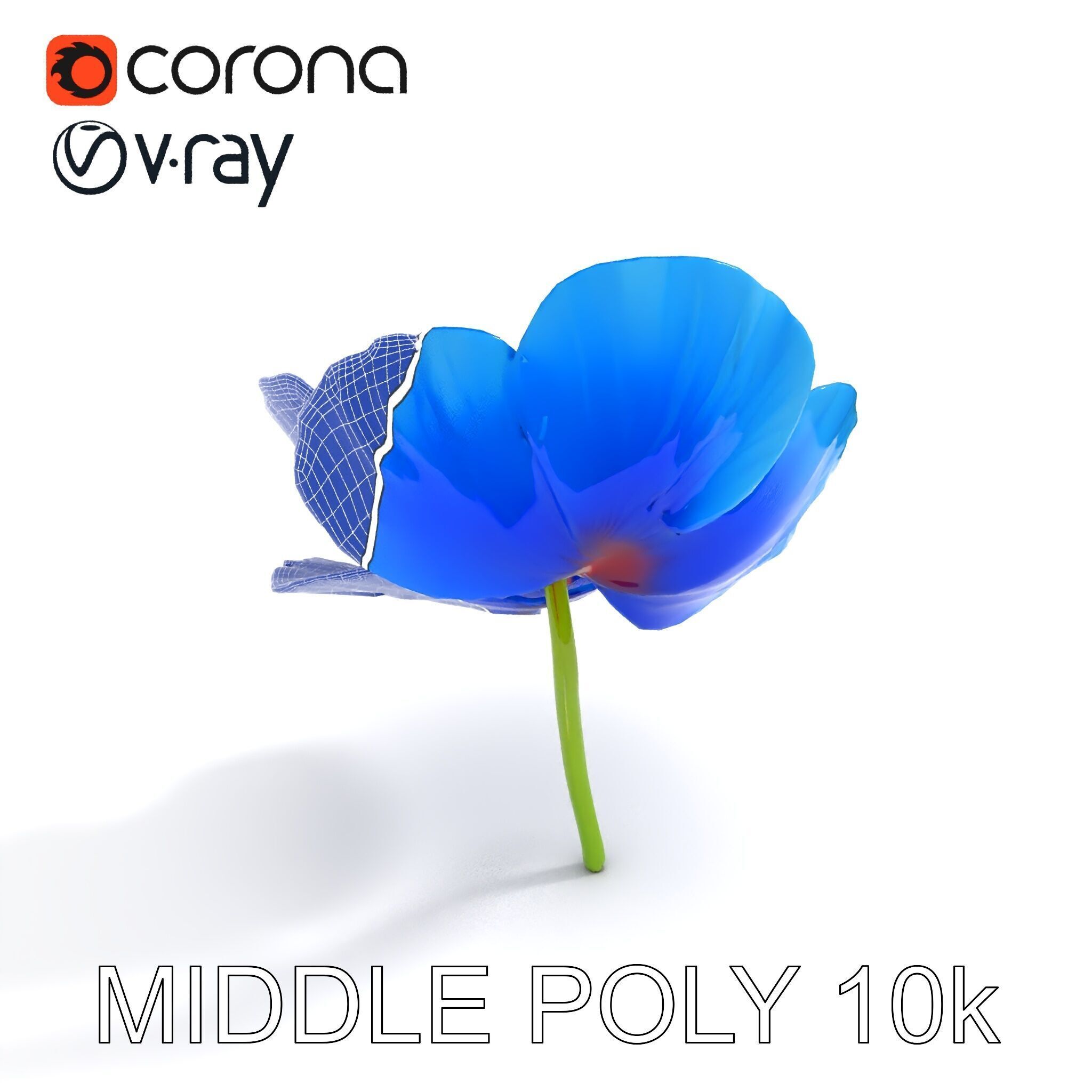 Blue Poppy Flower Model Pack for Realistic Scenes Low-poly 3D model_23