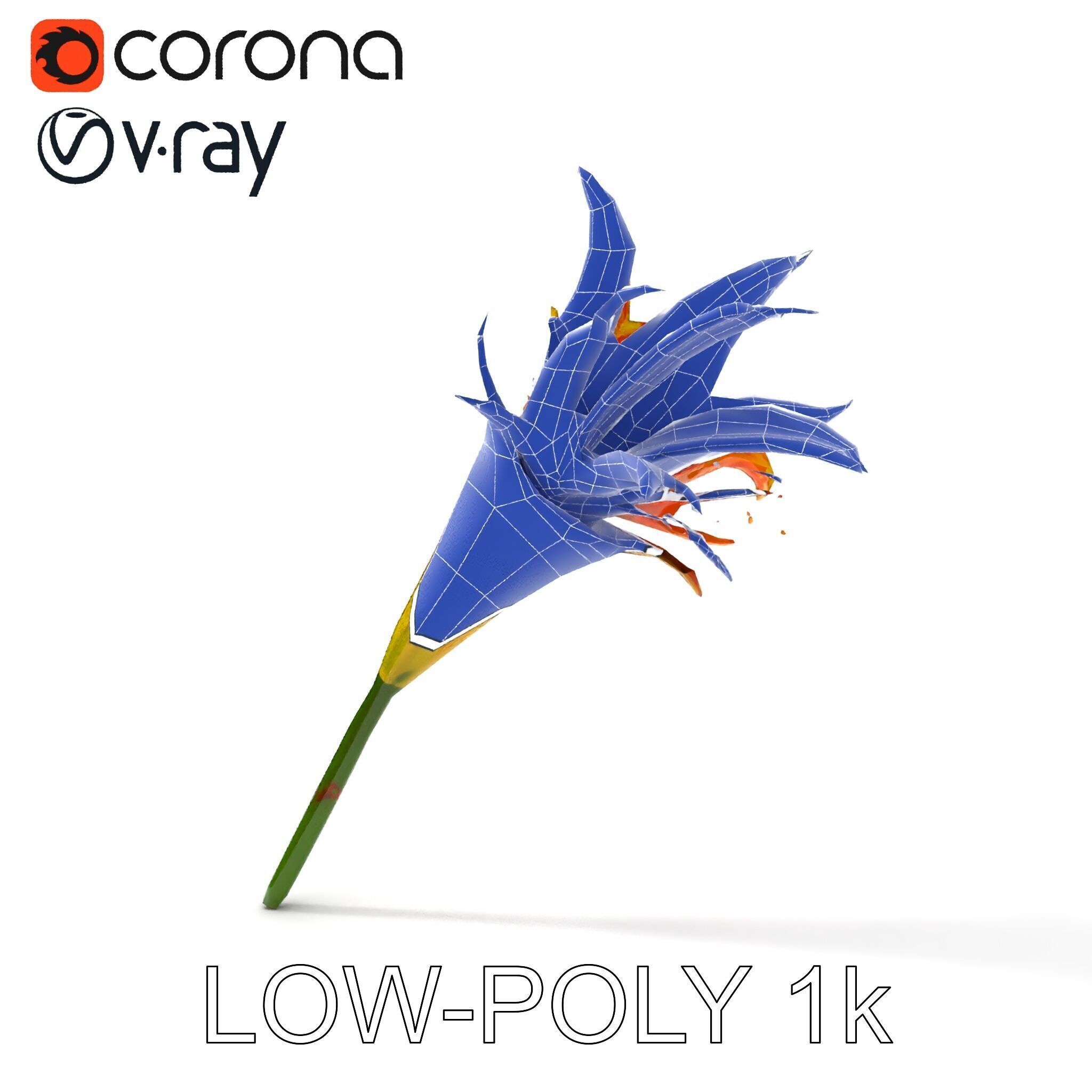 Vibrant Lily Flower Model Pack Low-poly 3D model_20