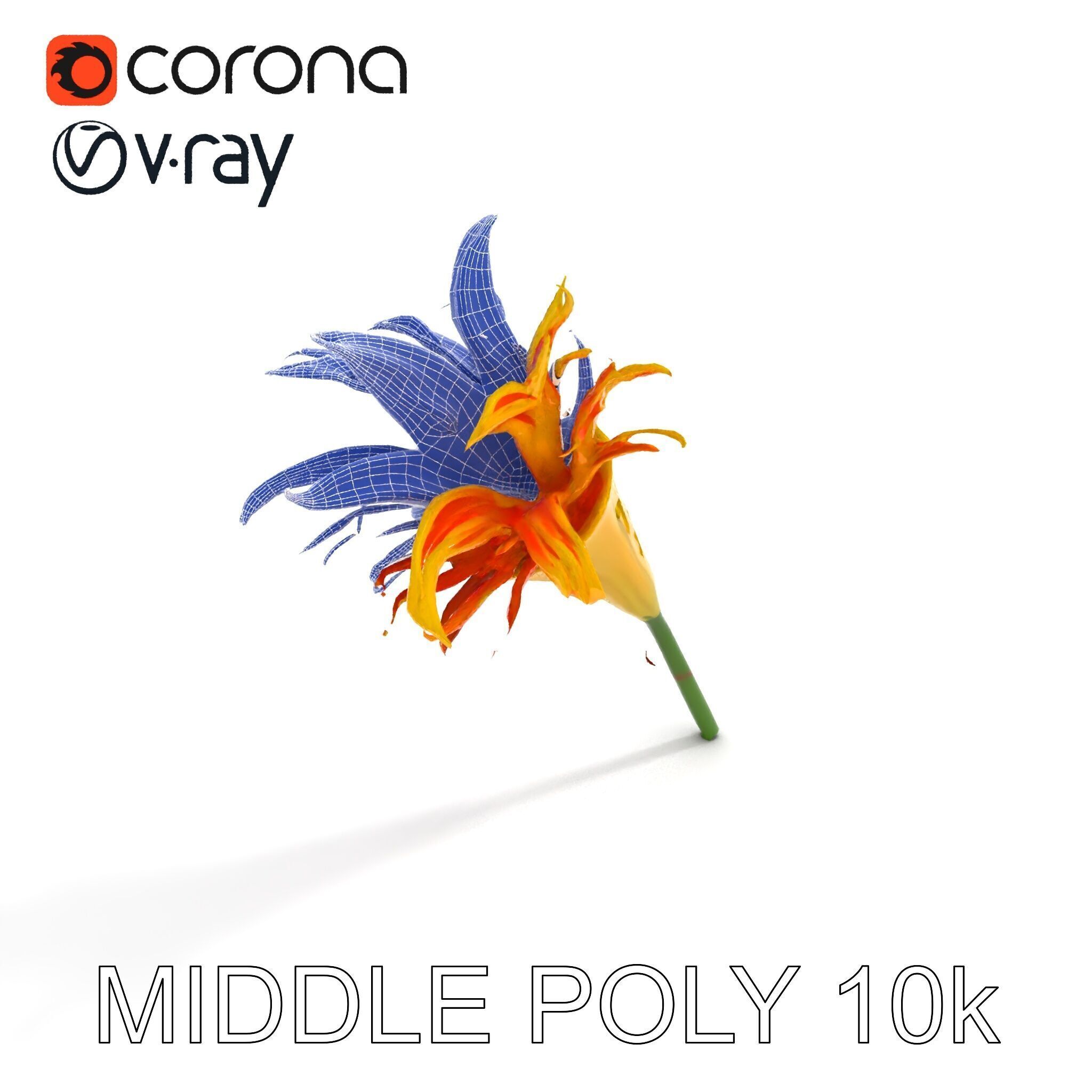 Vibrant Lily Flower Model Pack Low-poly 3D model_8