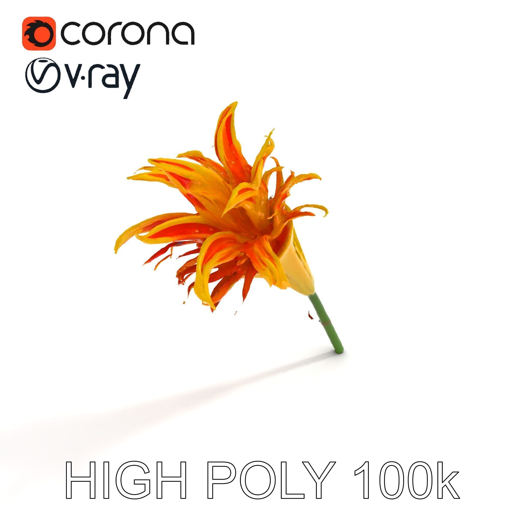 Vibrant Lily Flower Model Pack Low-poly 3D model_35