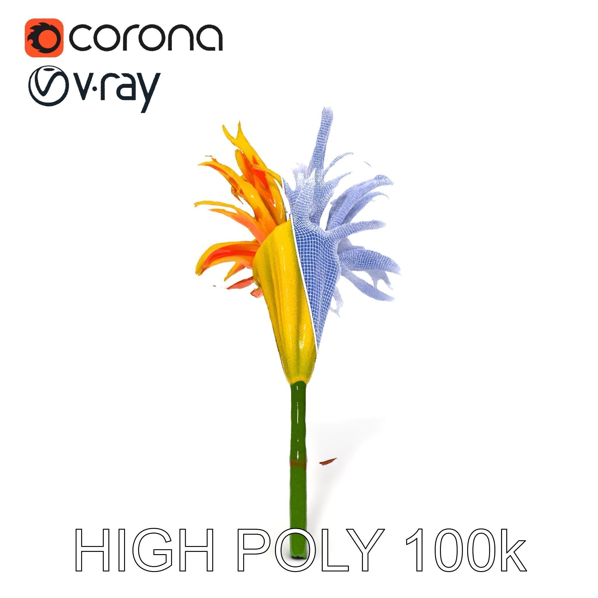Vibrant Lily Flower Model Pack Low-poly 3D model_26