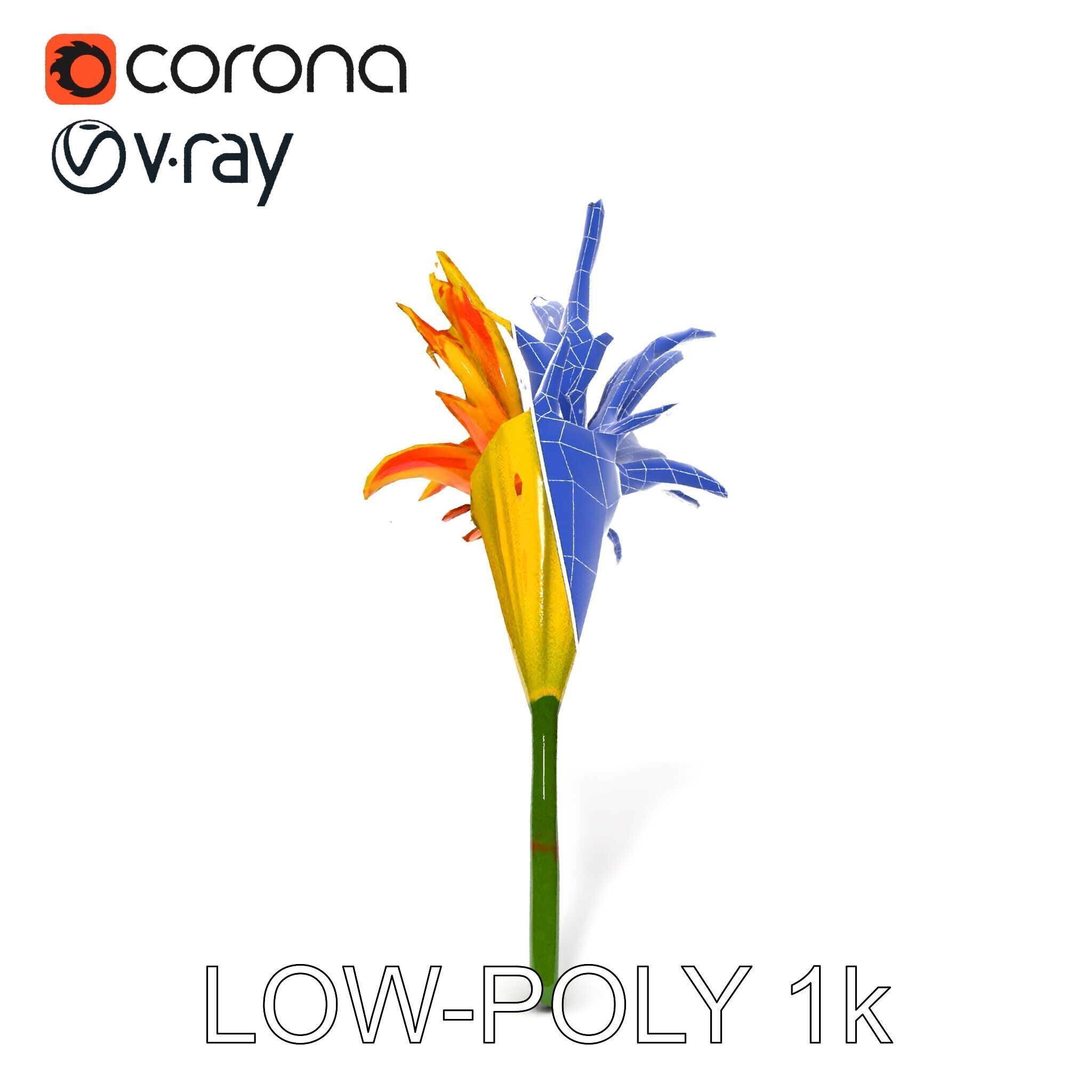 Vibrant Lily Flower Model Pack Low-poly 3D model_22