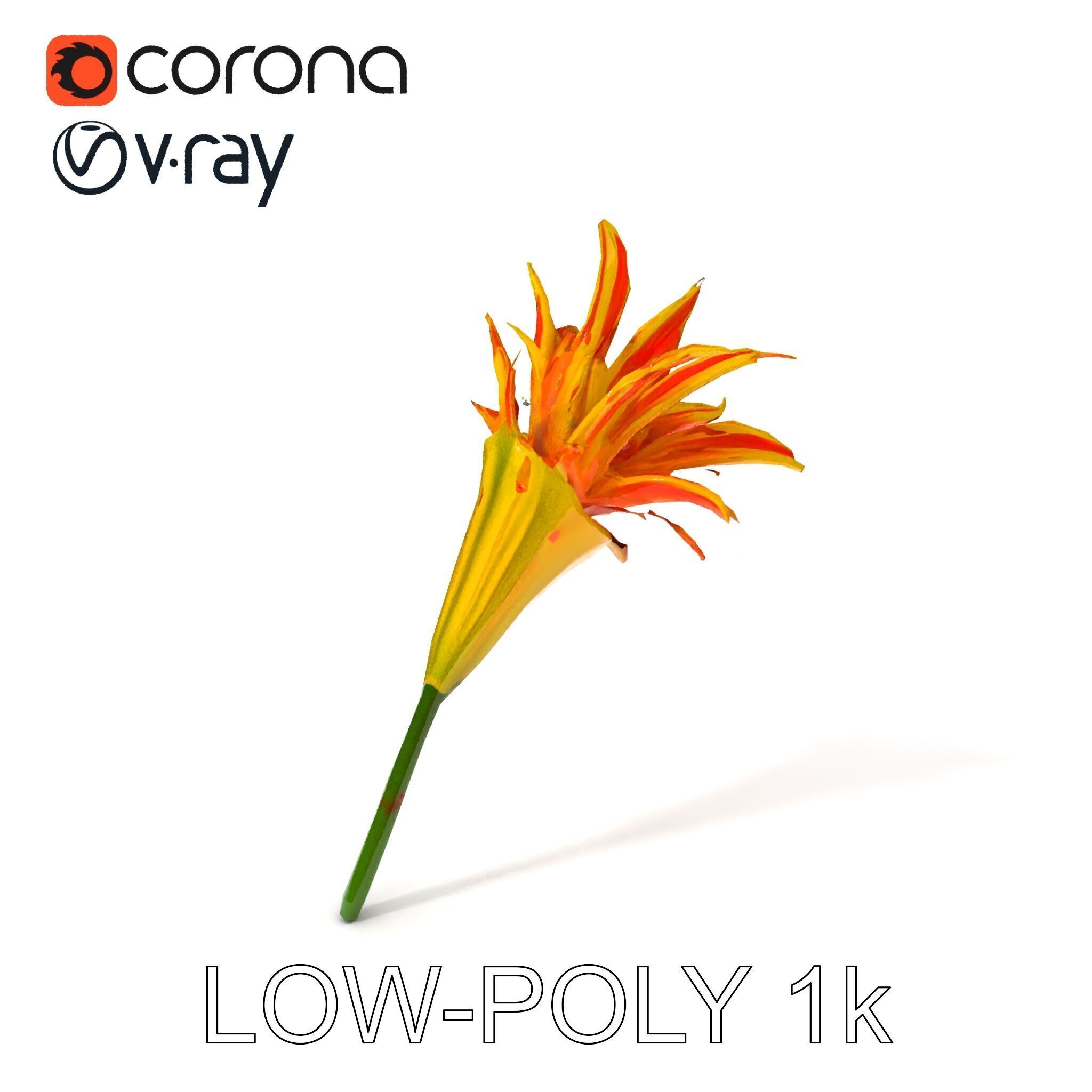 Vibrant Lily Flower Model Pack Low-poly 3D model_33