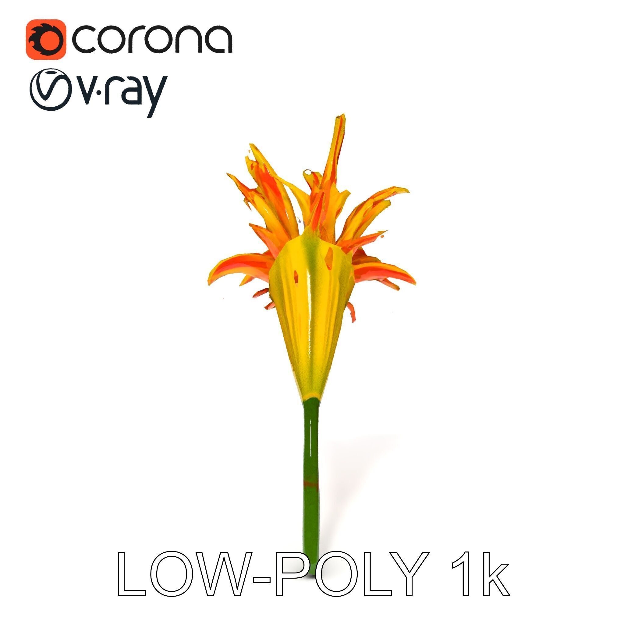 Vibrant Lily Flower Model Pack Low-poly 3D model_25