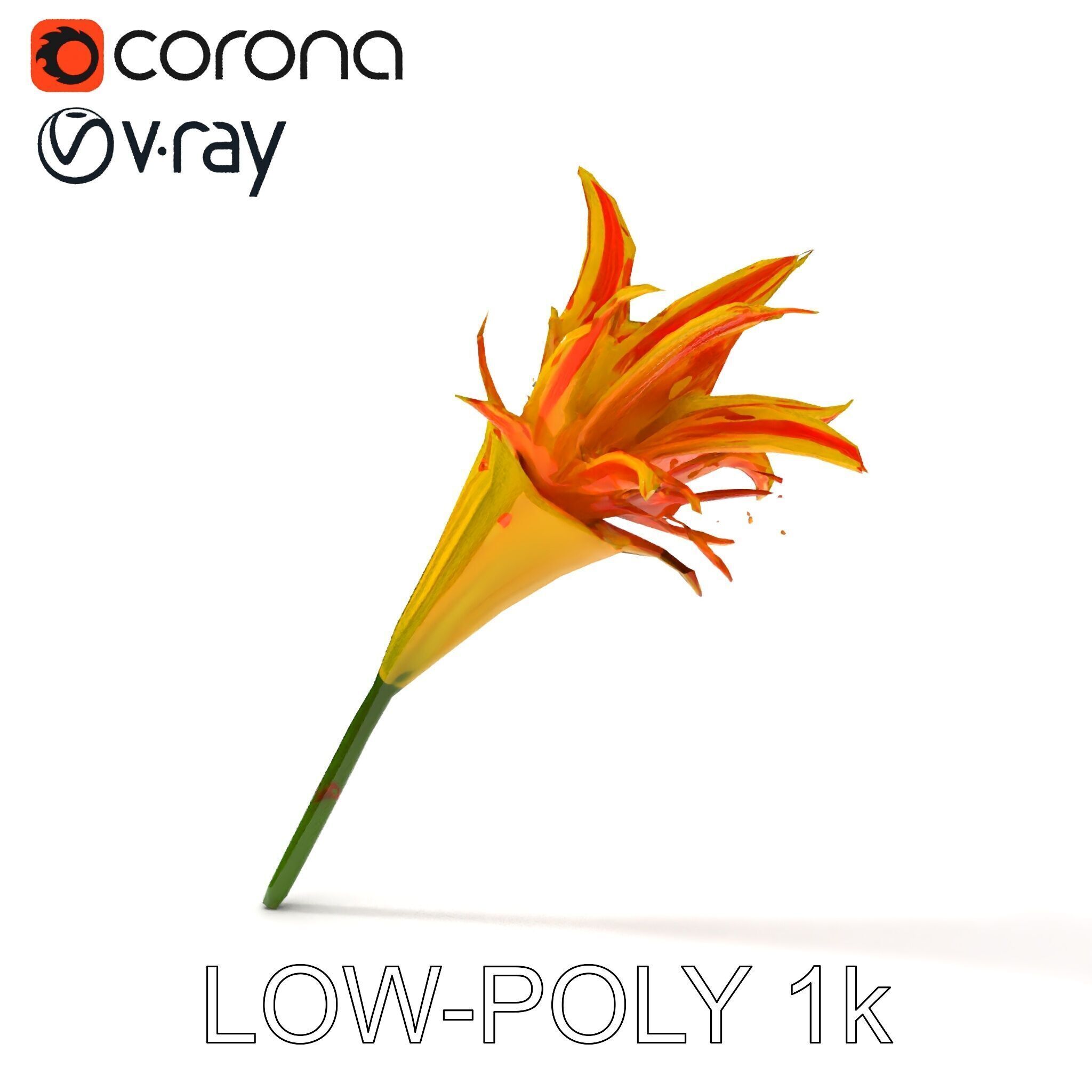 Vibrant Lily Flower Model Pack Low-poly 3D model_14