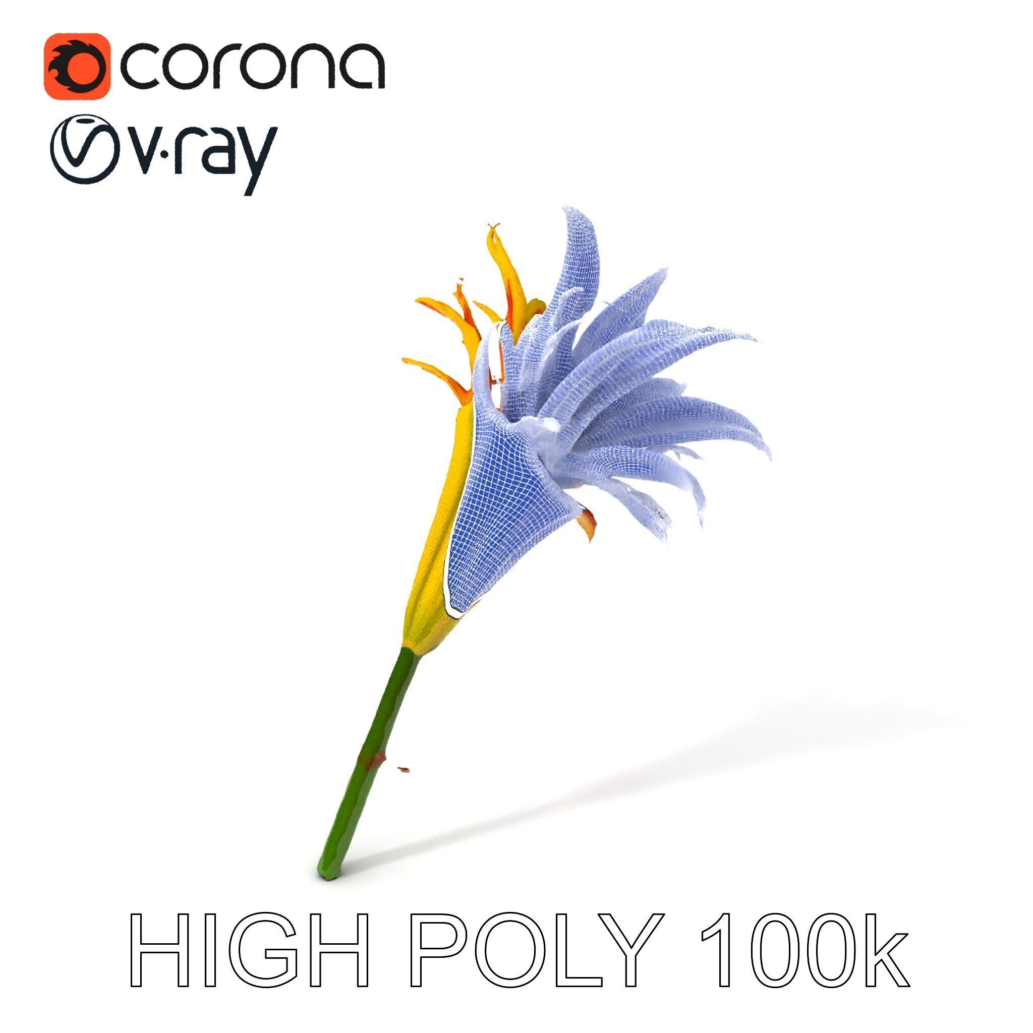 Vibrant Lily Flower Model Pack Low-poly 3D model_3