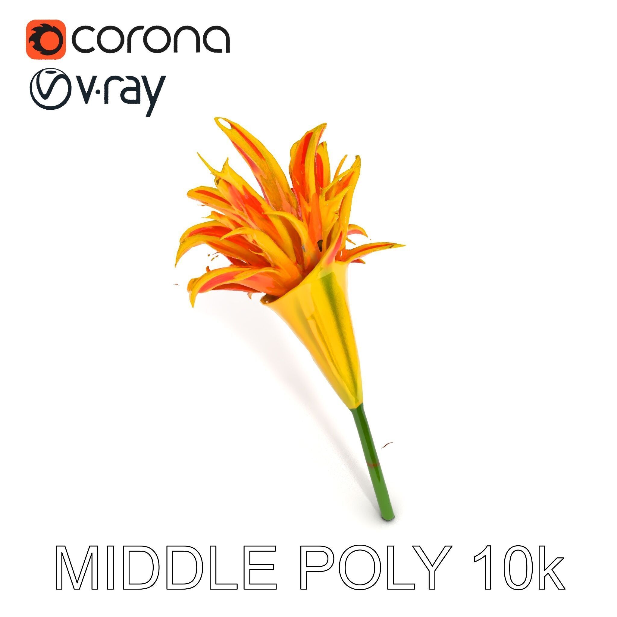 Vibrant Lily Flower Model Pack Low-poly 3D model_16