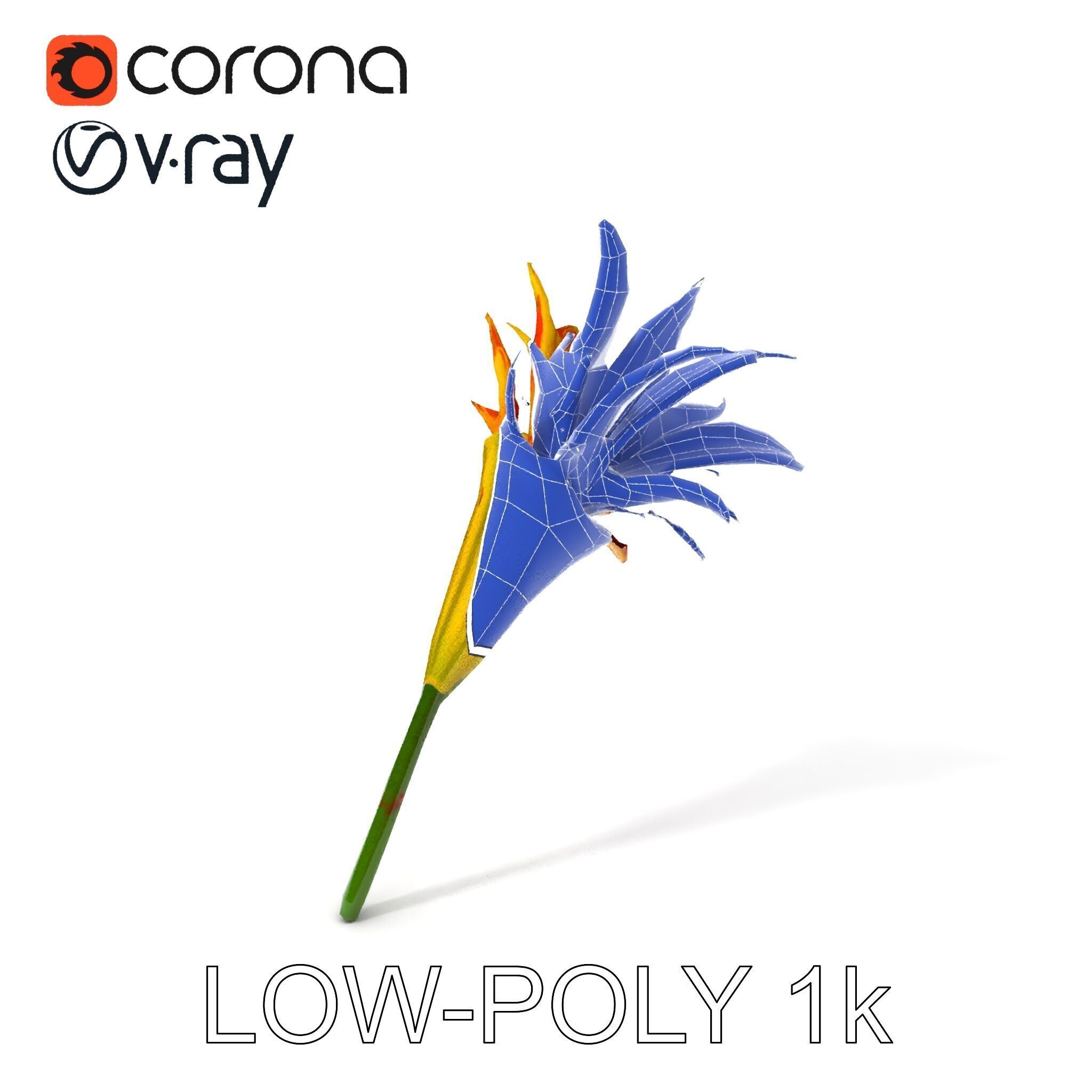 Vibrant Lily Flower Model Pack Low-poly 3D model_28