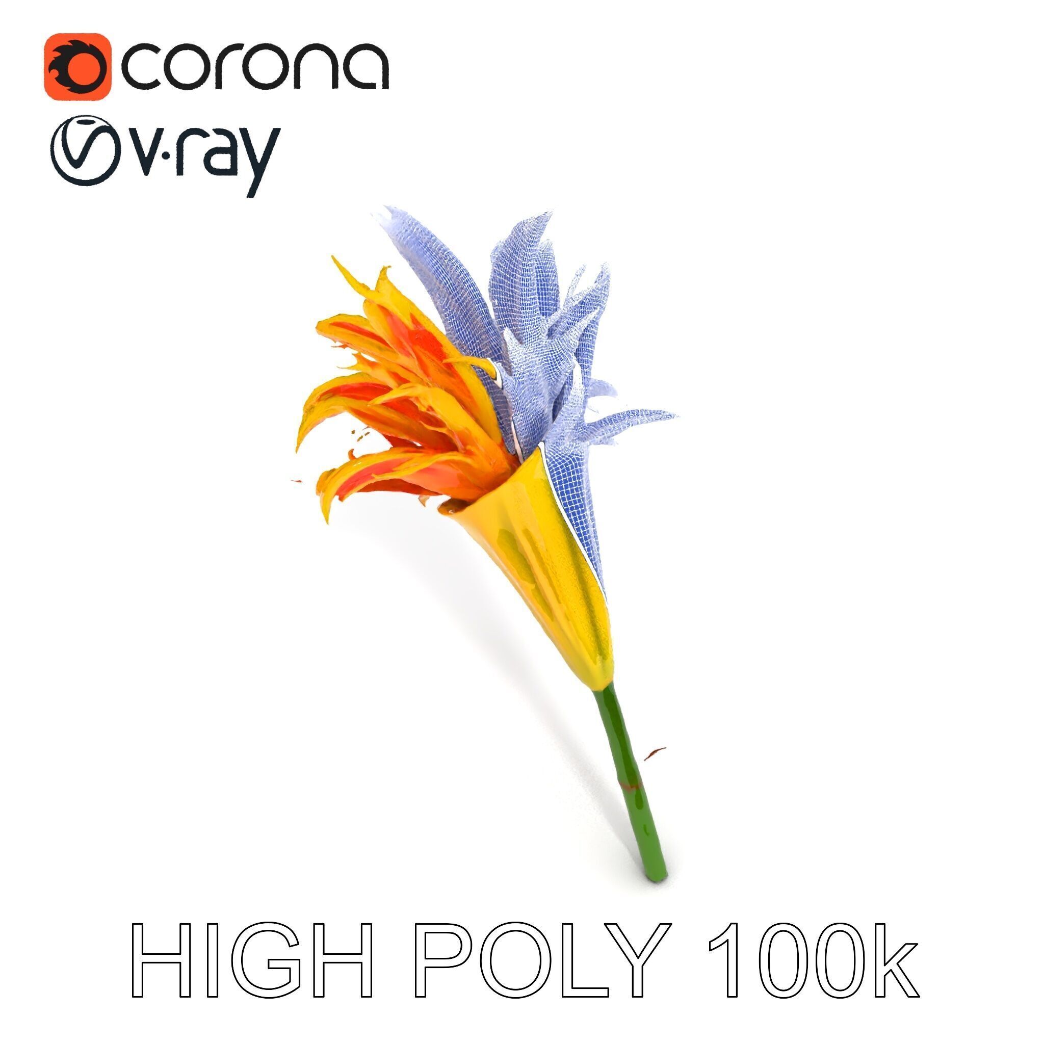 Vibrant Lily Flower Model Pack Low-poly 3D model_15