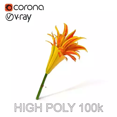 Vibrant Lily Flower Model Pack