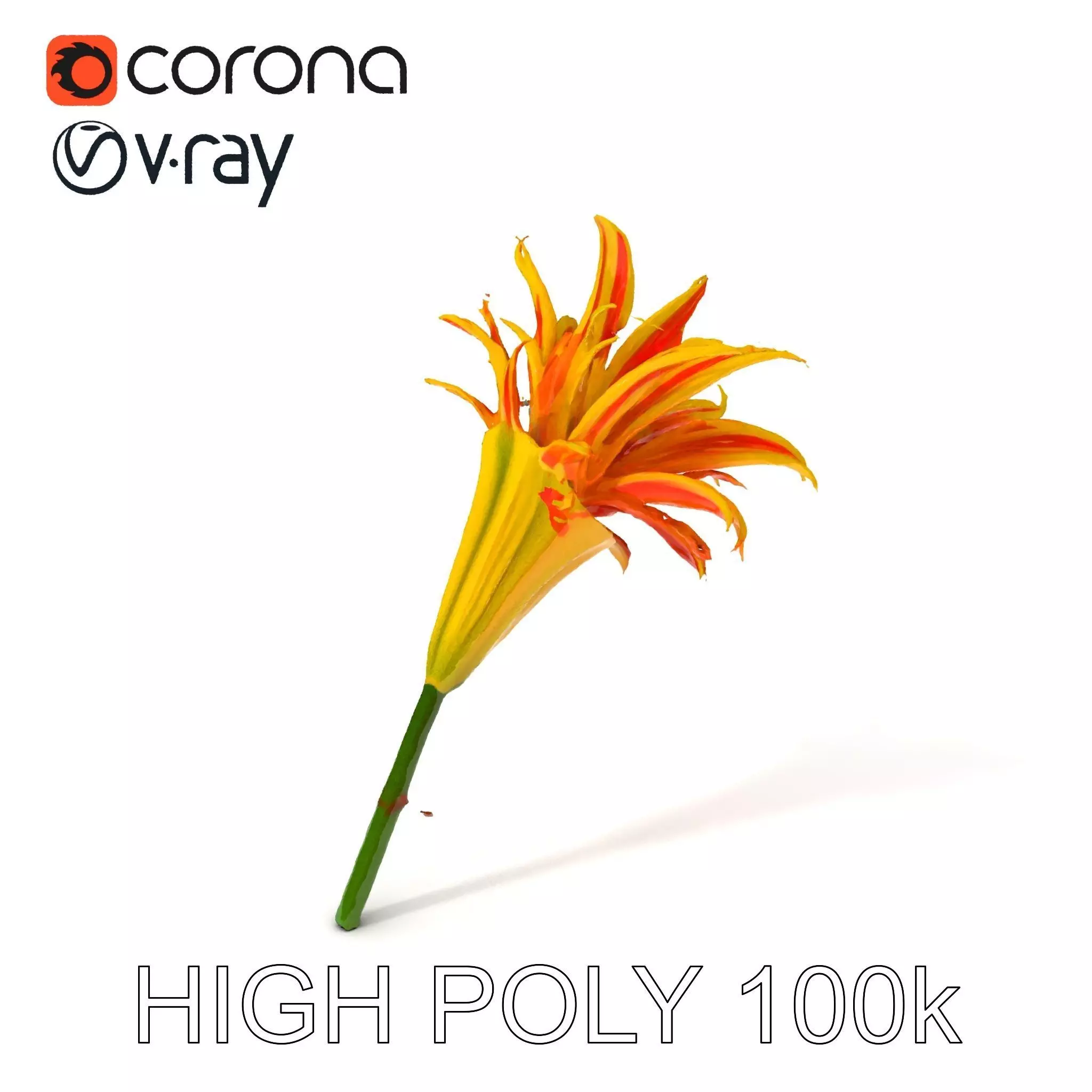 Vibrant Lily Flower Model Pack Low-poly 3D model_0