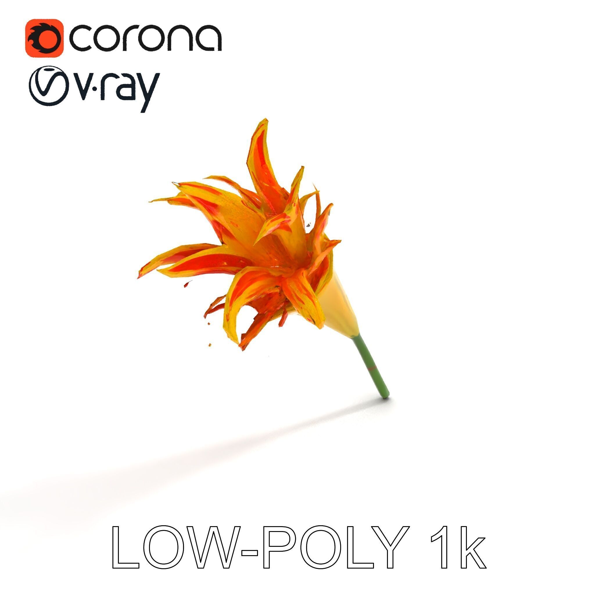 Vibrant Lily Flower Model Pack Low-poly 3D model_7
