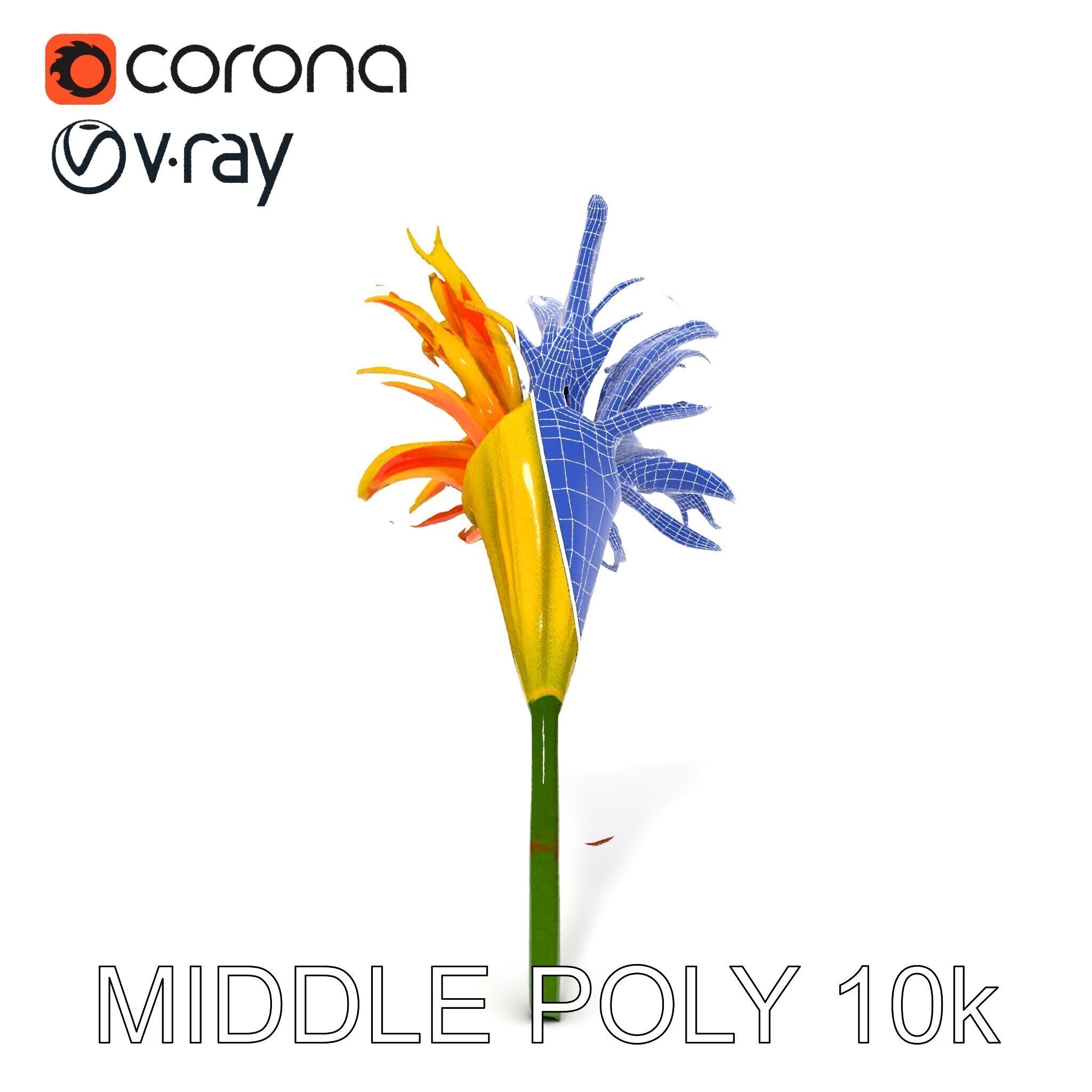 Vibrant Lily Flower Model Pack Low-poly 3D model_13