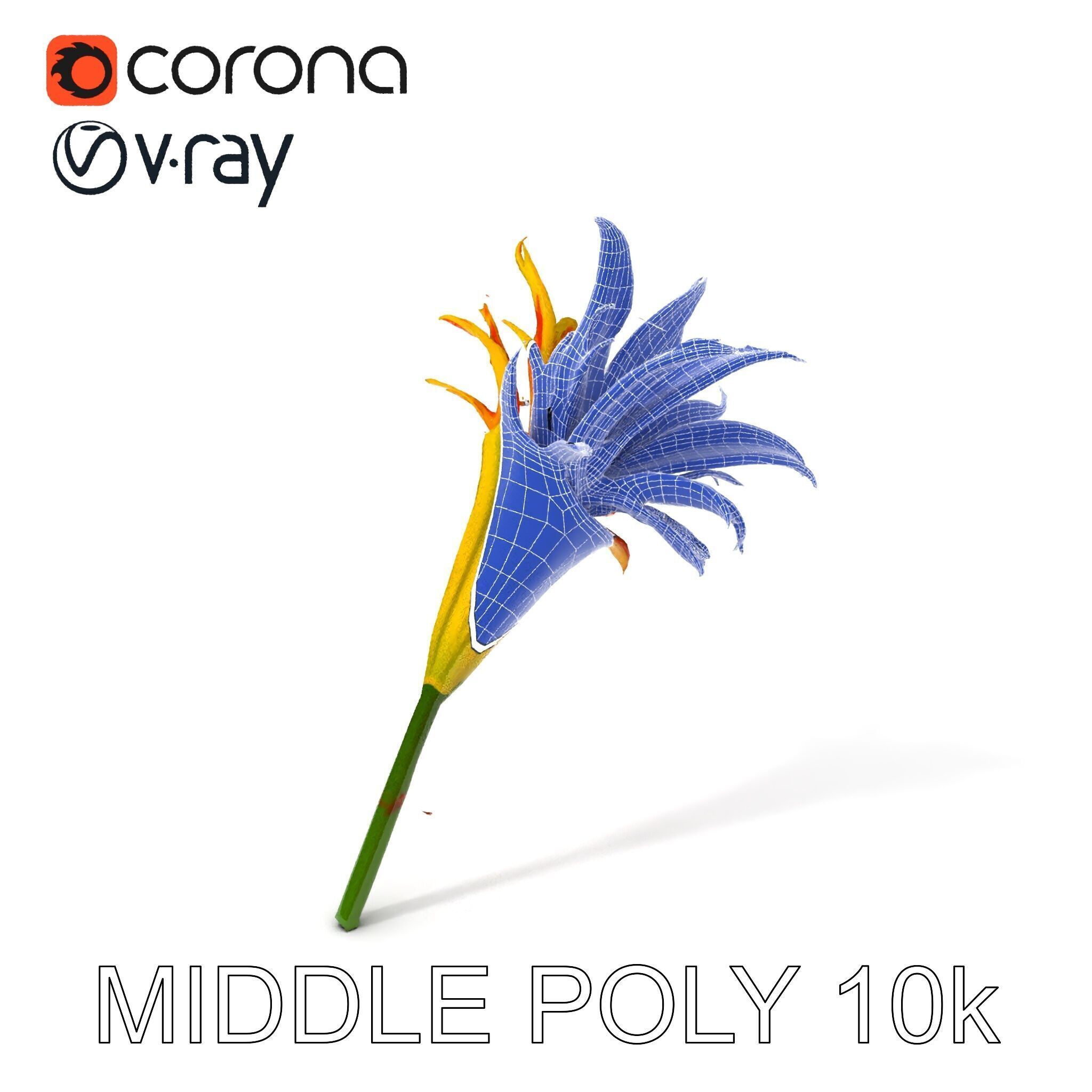 Vibrant Lily Flower Model Pack Low-poly 3D model_6