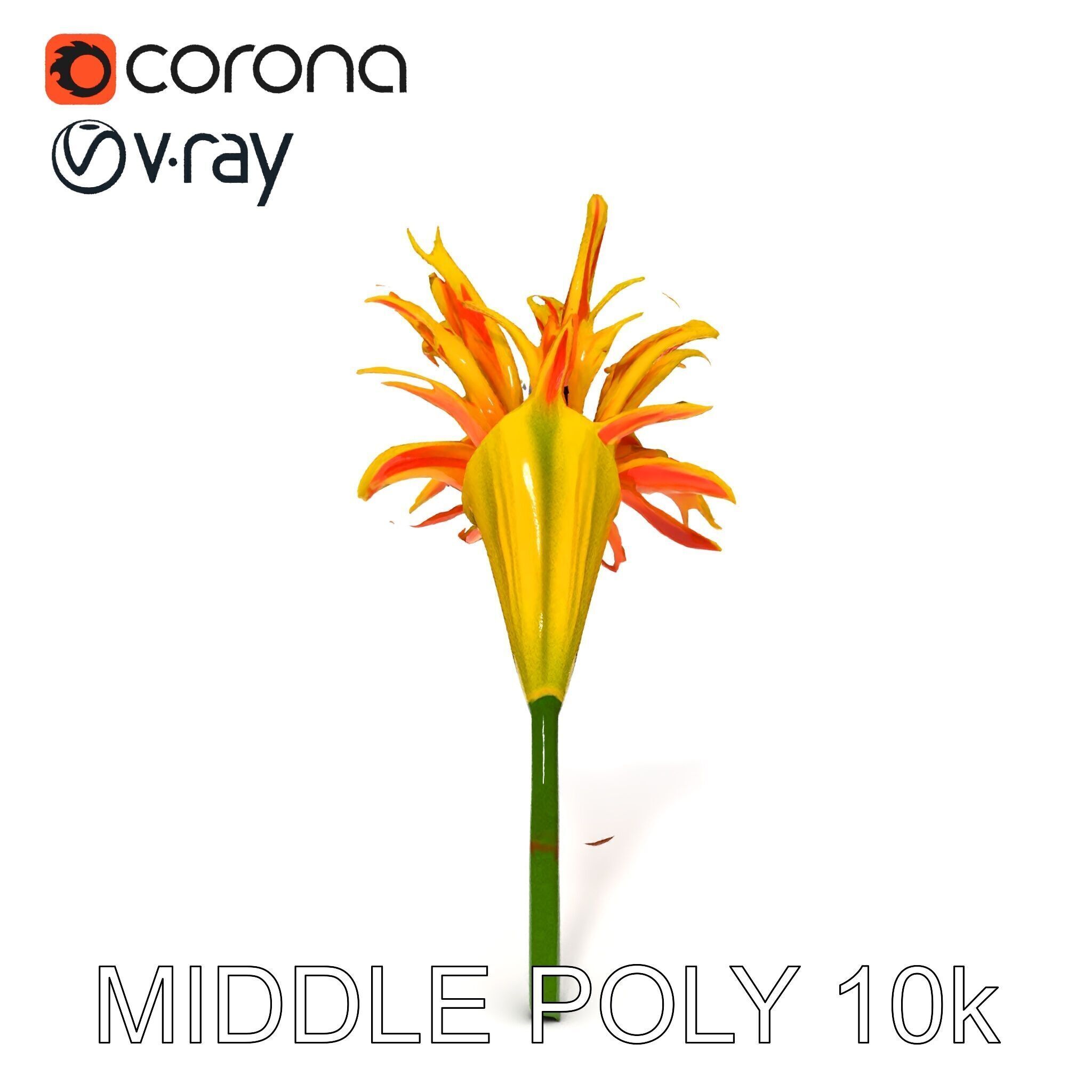 Vibrant Lily Flower Model Pack Low-poly 3D model_27