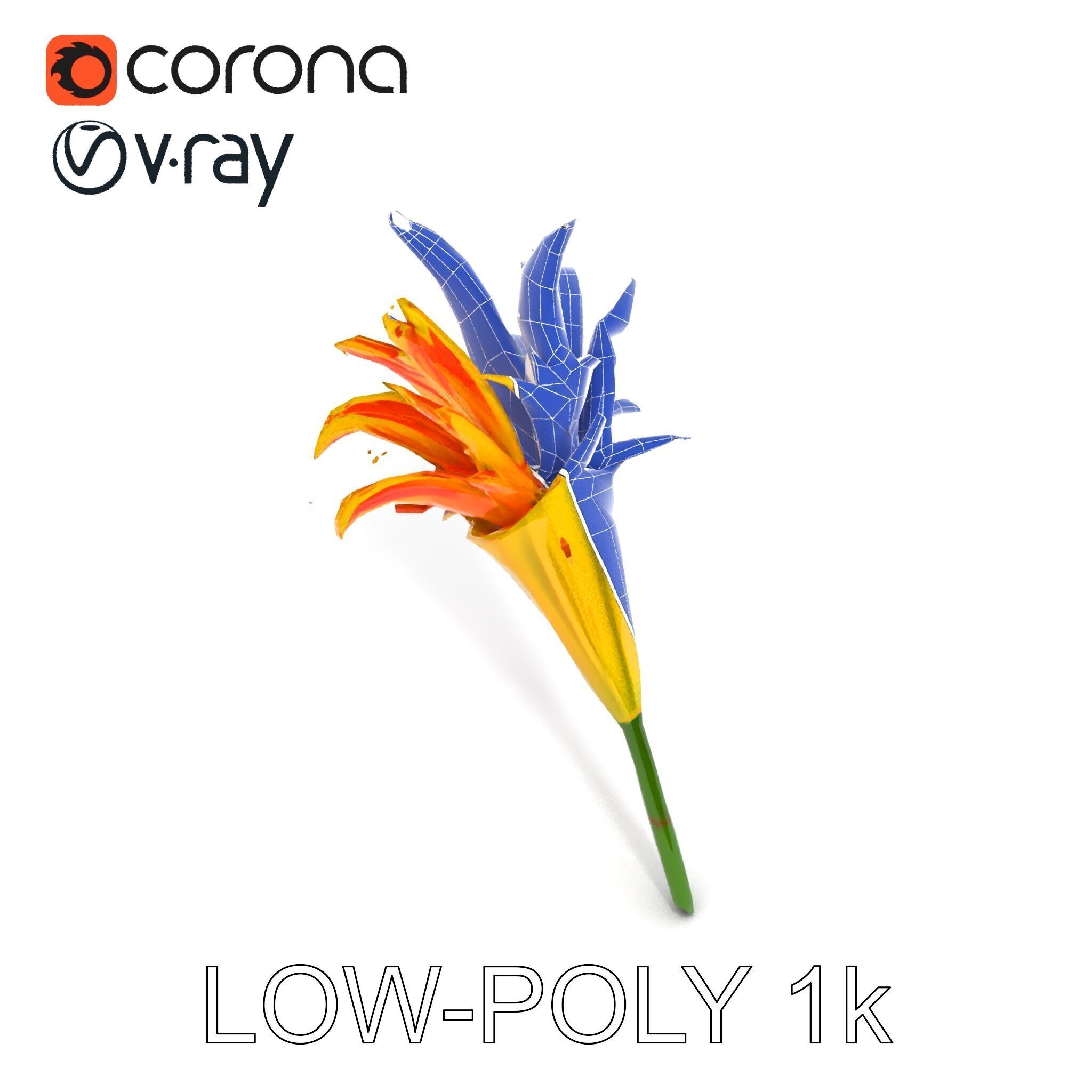 Vibrant Lily Flower Model Pack Low-poly 3D model_9