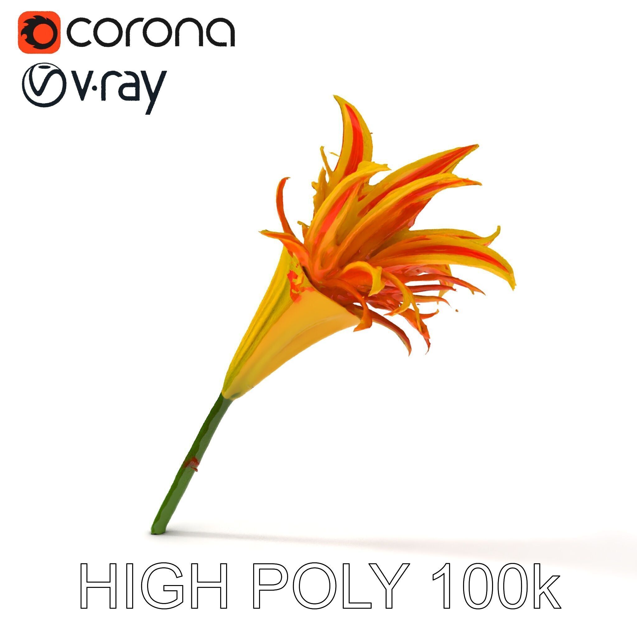 Vibrant Lily Flower Model Pack Low-poly 3D model_18