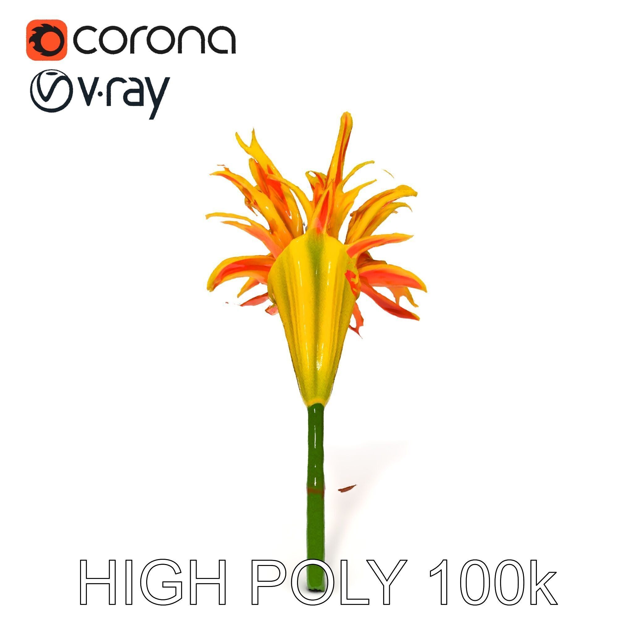 Vibrant Lily Flower Model Pack Low-poly 3D model_23