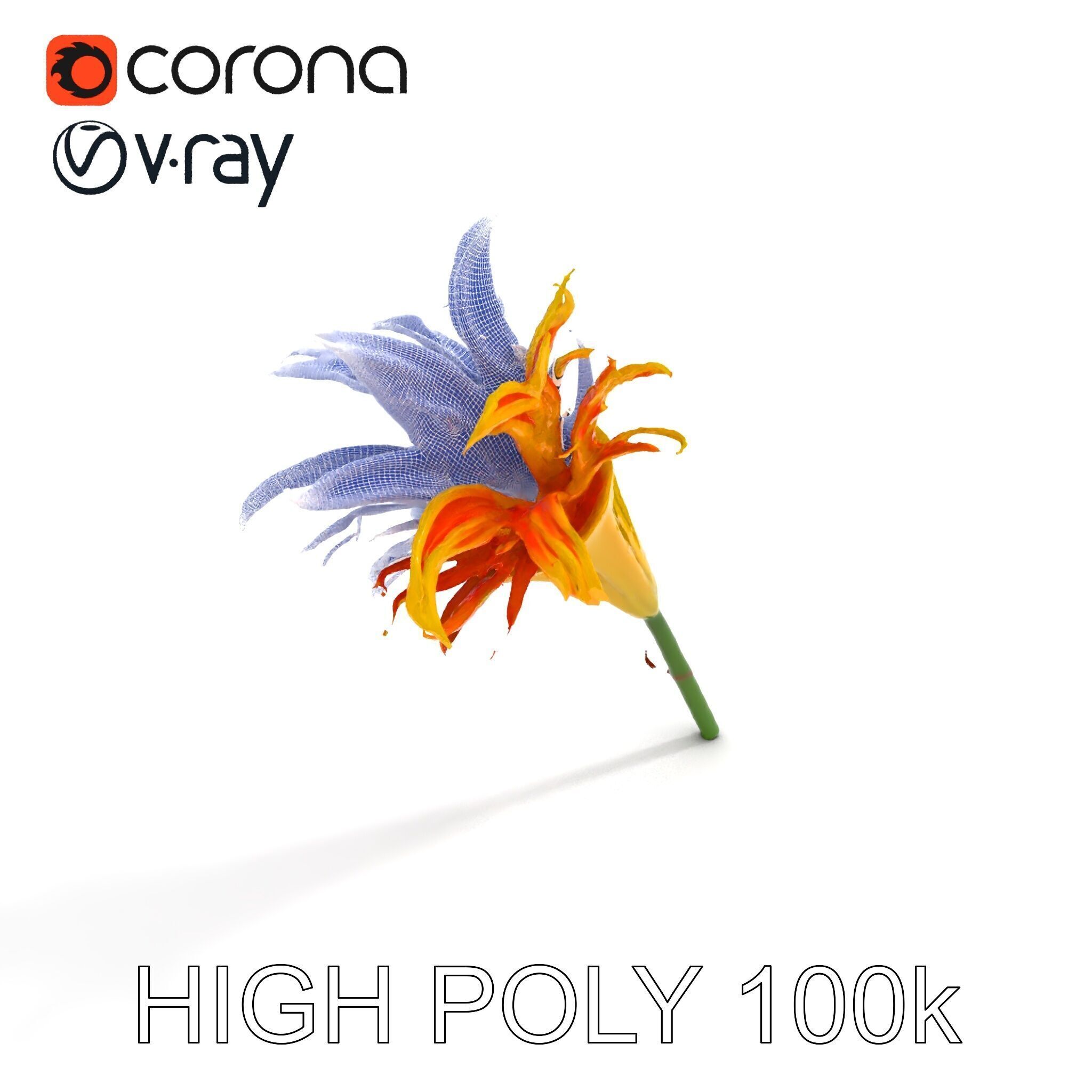 Vibrant Lily Flower Model Pack Low-poly 3D model_34