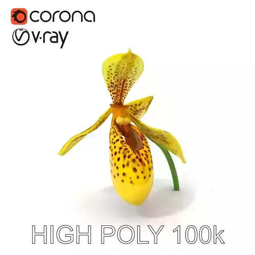 Orchid Model Pack with Detailed Textures Low-poly 3D model