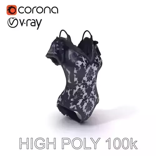 Elegant Lace Bodysuit Model Pack