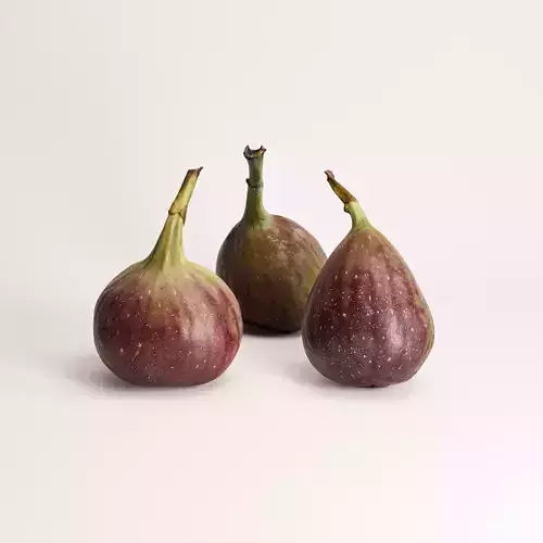 Fig Set 01 Low-poly 3D model