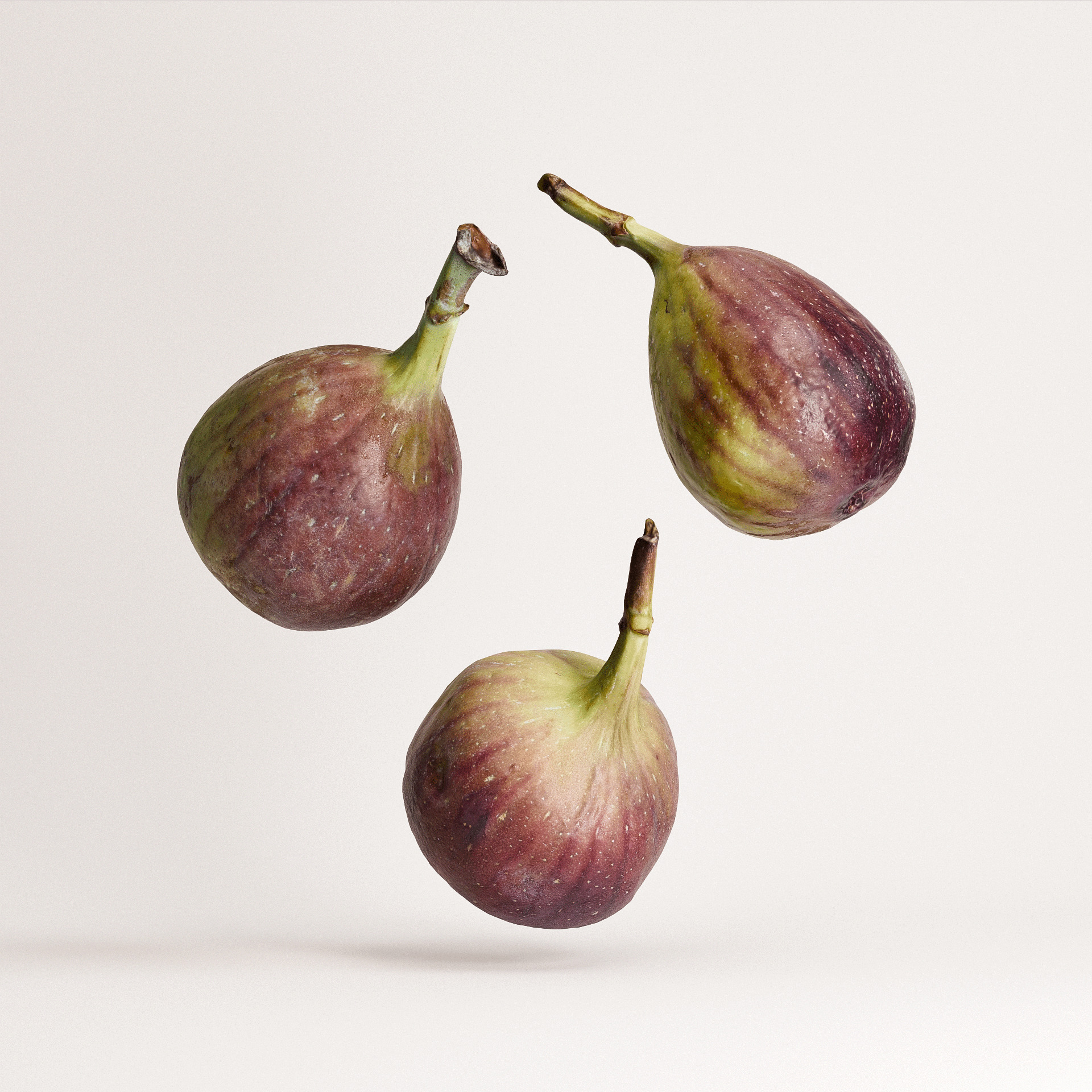 Fig Set 01 Low-poly 3D model_2