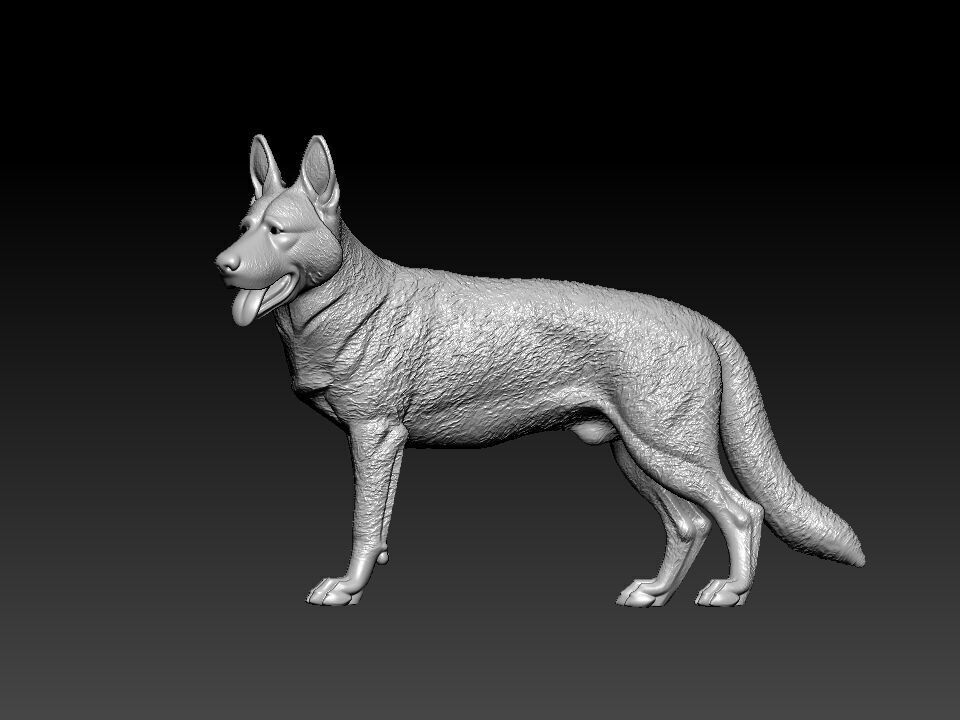 German Shepherd - Alsatian model - 3D print 3D print model_1