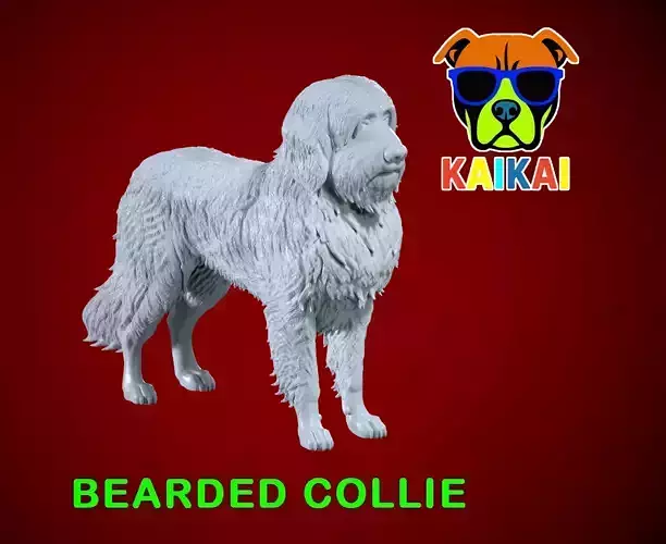 Bearded Collie - Mountain Collie model - 3D print