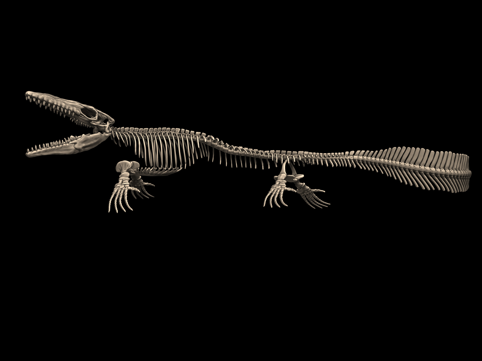 Mosasaurus Skeleton Posed 3D print model_5