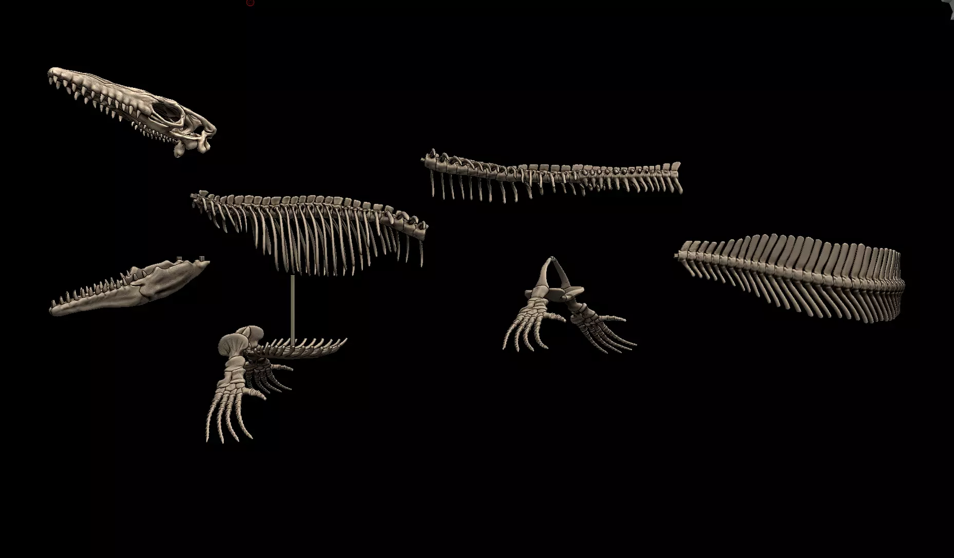 Mosasaurus Skeleton Posed 3D print model_1