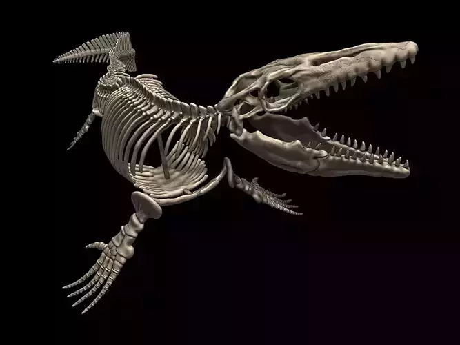 Mosasaurus Skeleton Posed 3D print model