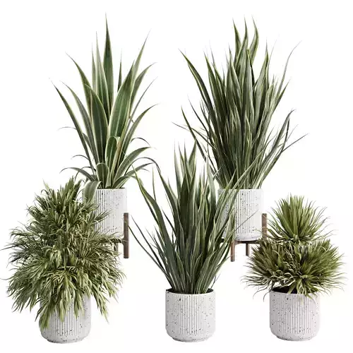 Palm Plant Dracaena in a Concrete pot - set indoor plant 628
