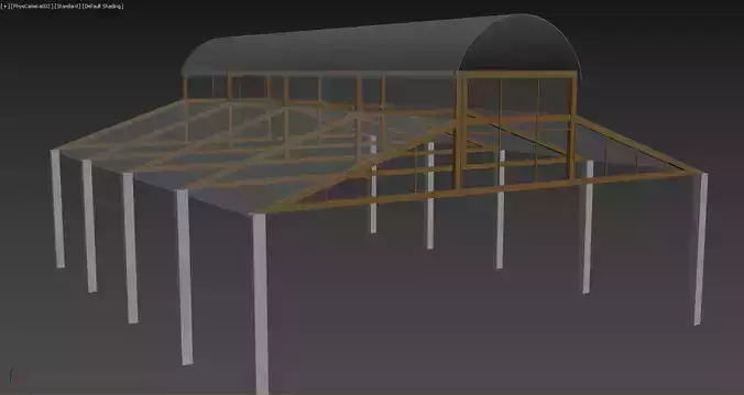 Hangar Structure