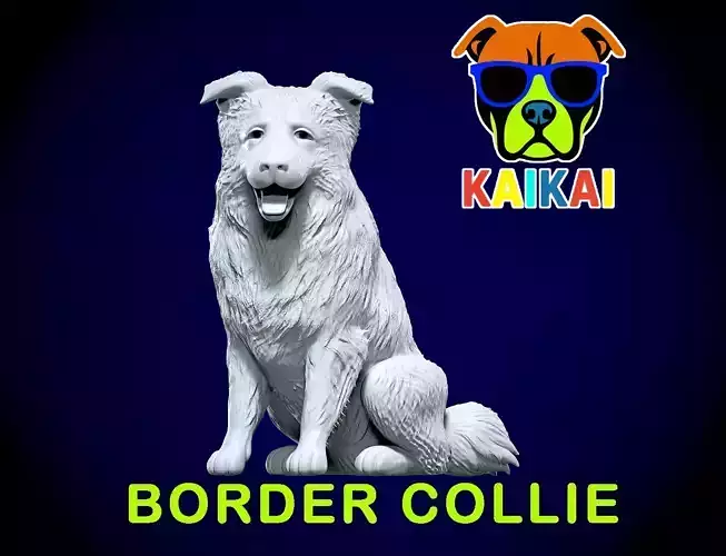 Dogs - Border Collie model - 3D print