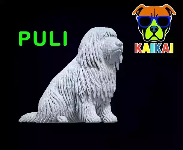 Puli Dog - Hungarian Puli model - 3D print 3D print model