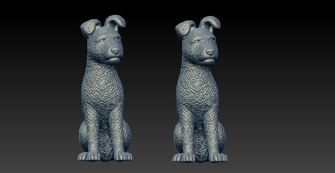 Pumi Dog - Pumi Hungary model - 3D print 3D print model_1