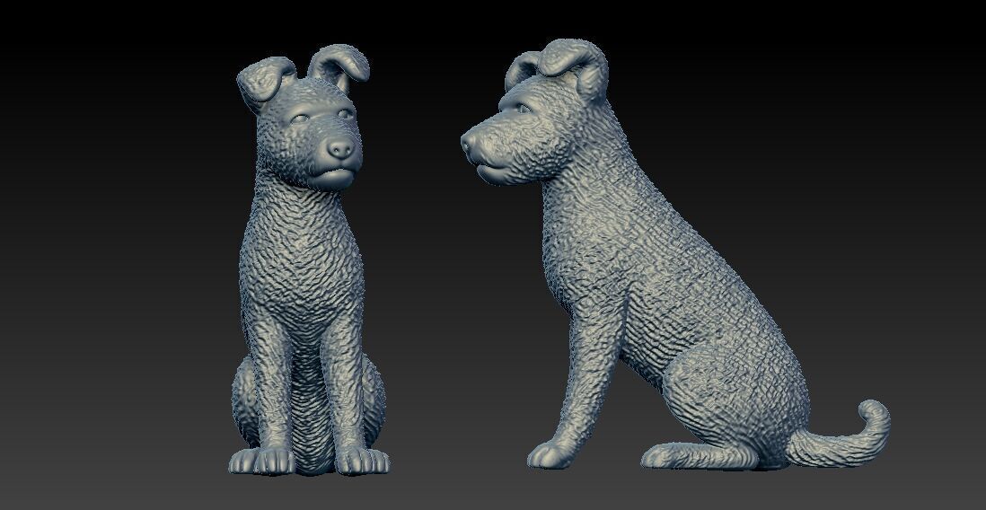 Pumi Dog - Pumi Hungary model - 3D print 3D print model_2
